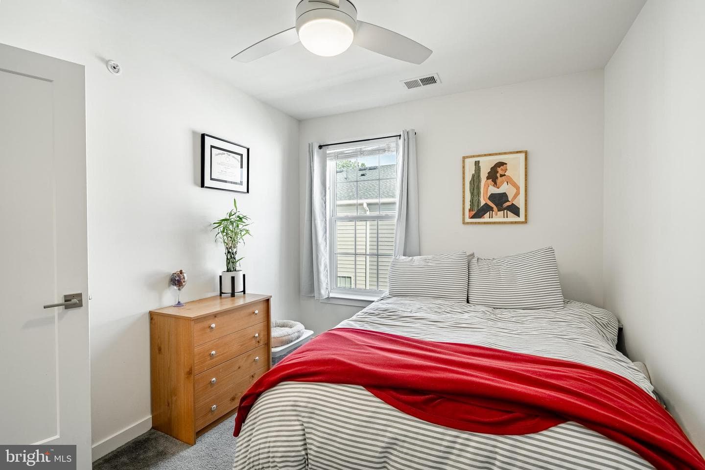 12 Manchester Drive photo 22