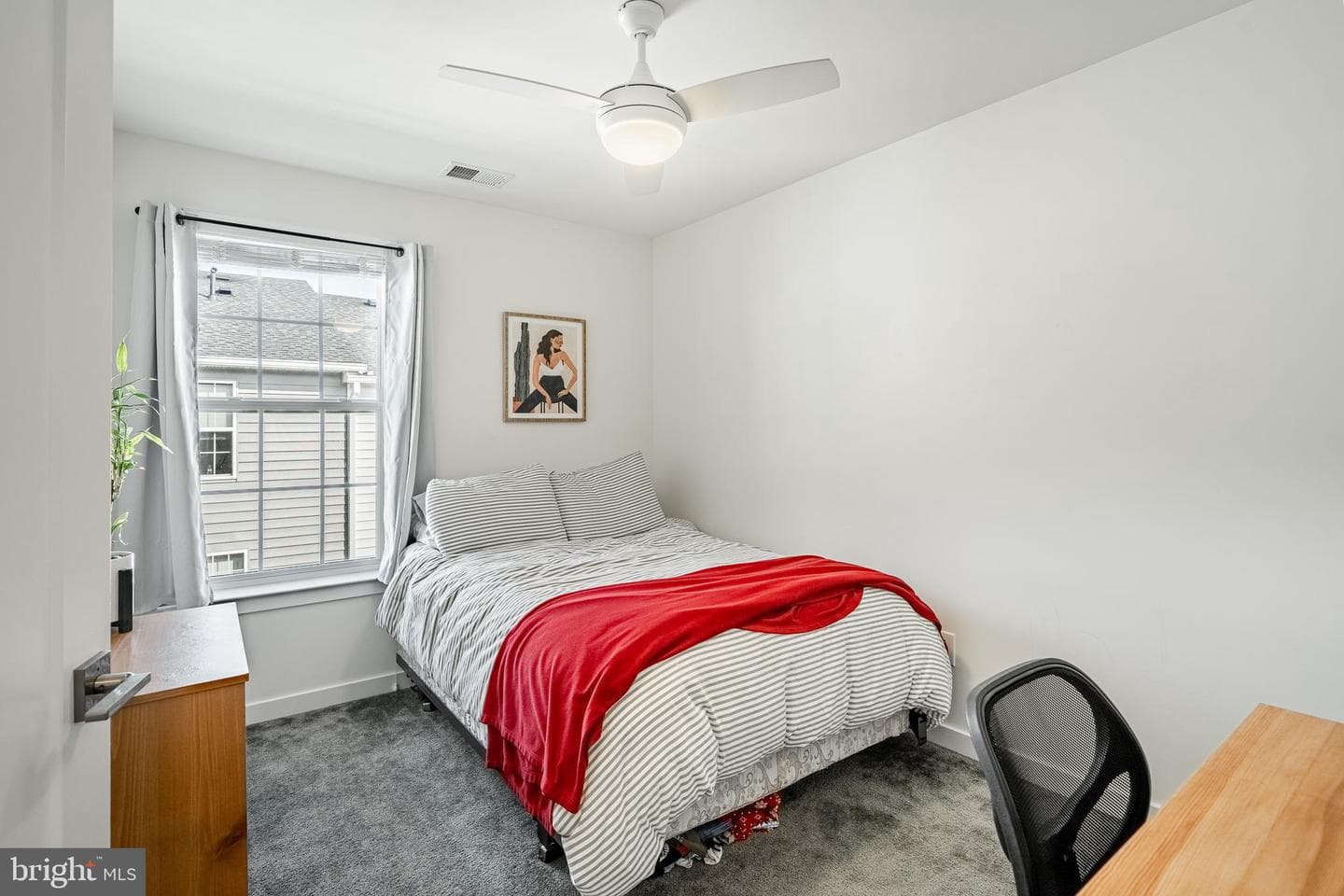 12 Manchester Drive photo 23
