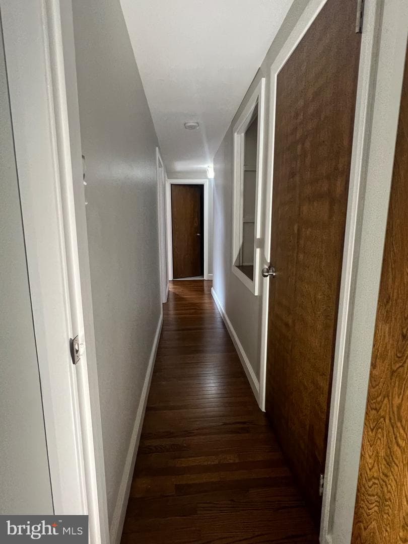 256 Walnut Street photo 46