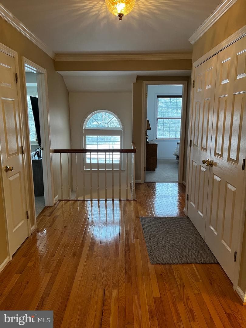 919 Jamie Court photo 18