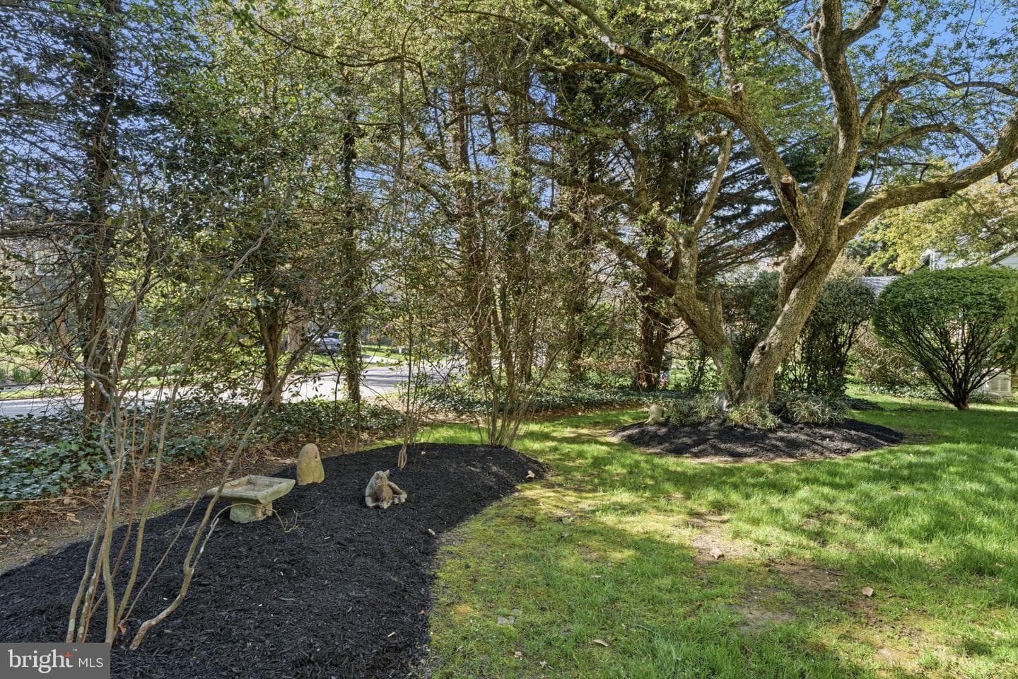 101 Llanberris Road photo 60