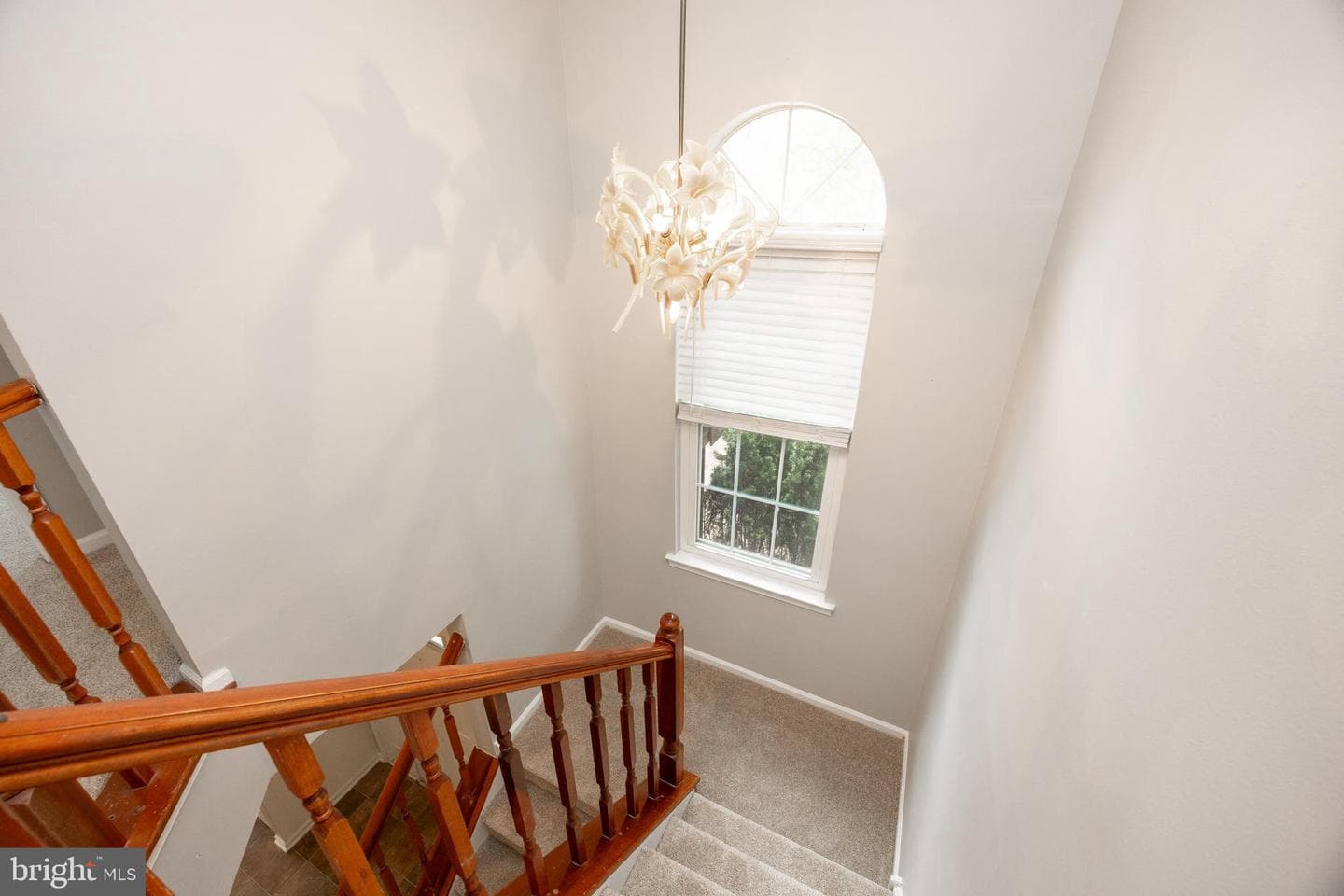 101 Honeylocust Court photo 17