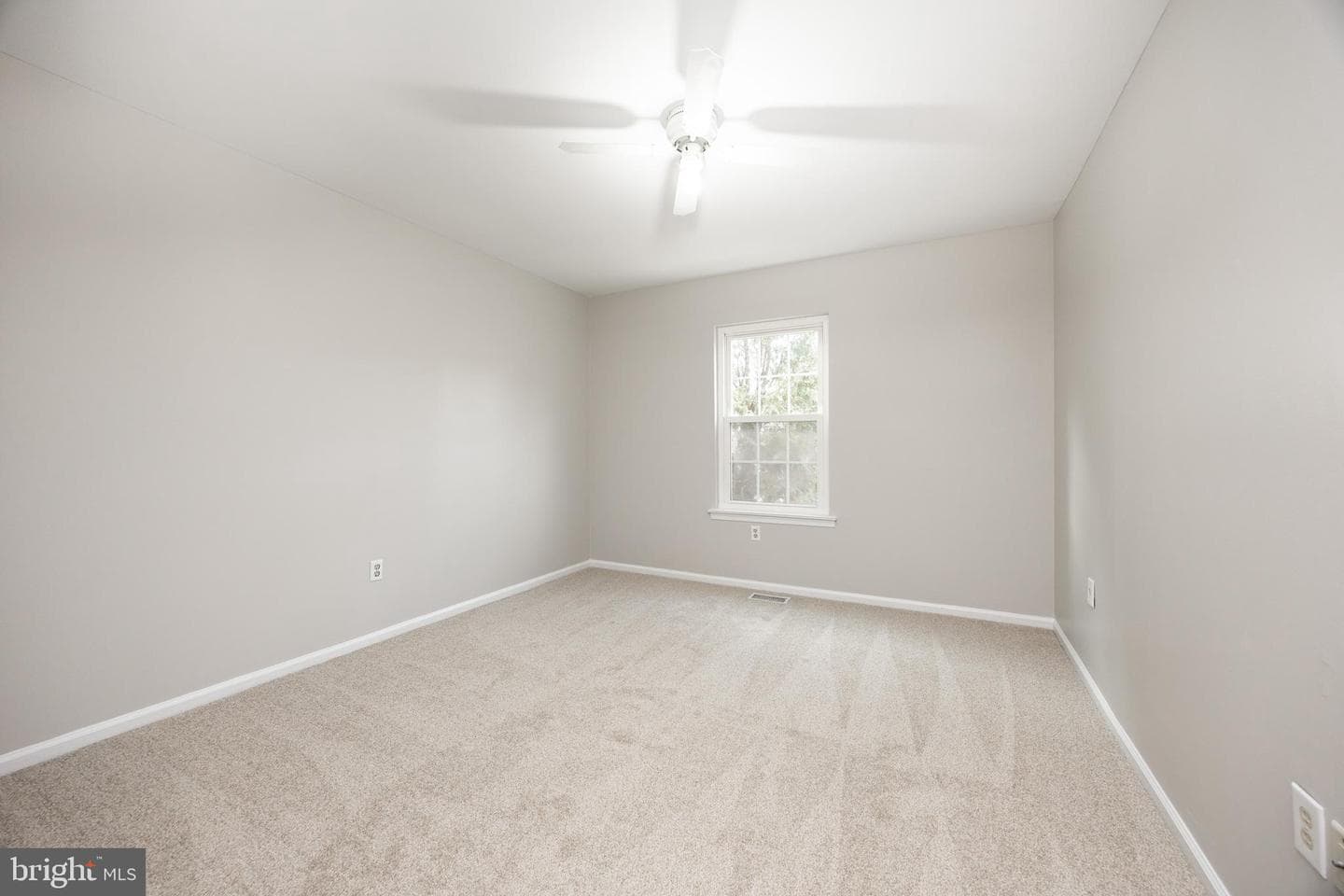 101 Honeylocust Court photo 26