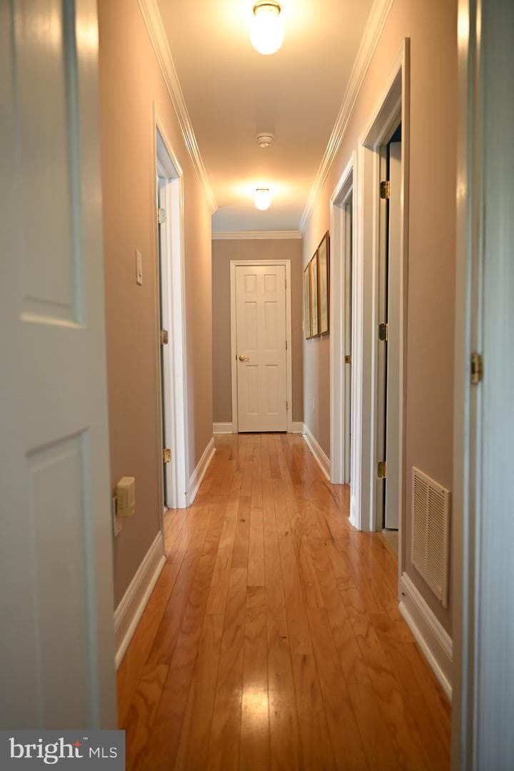 1009 Cromwell Road photo 28