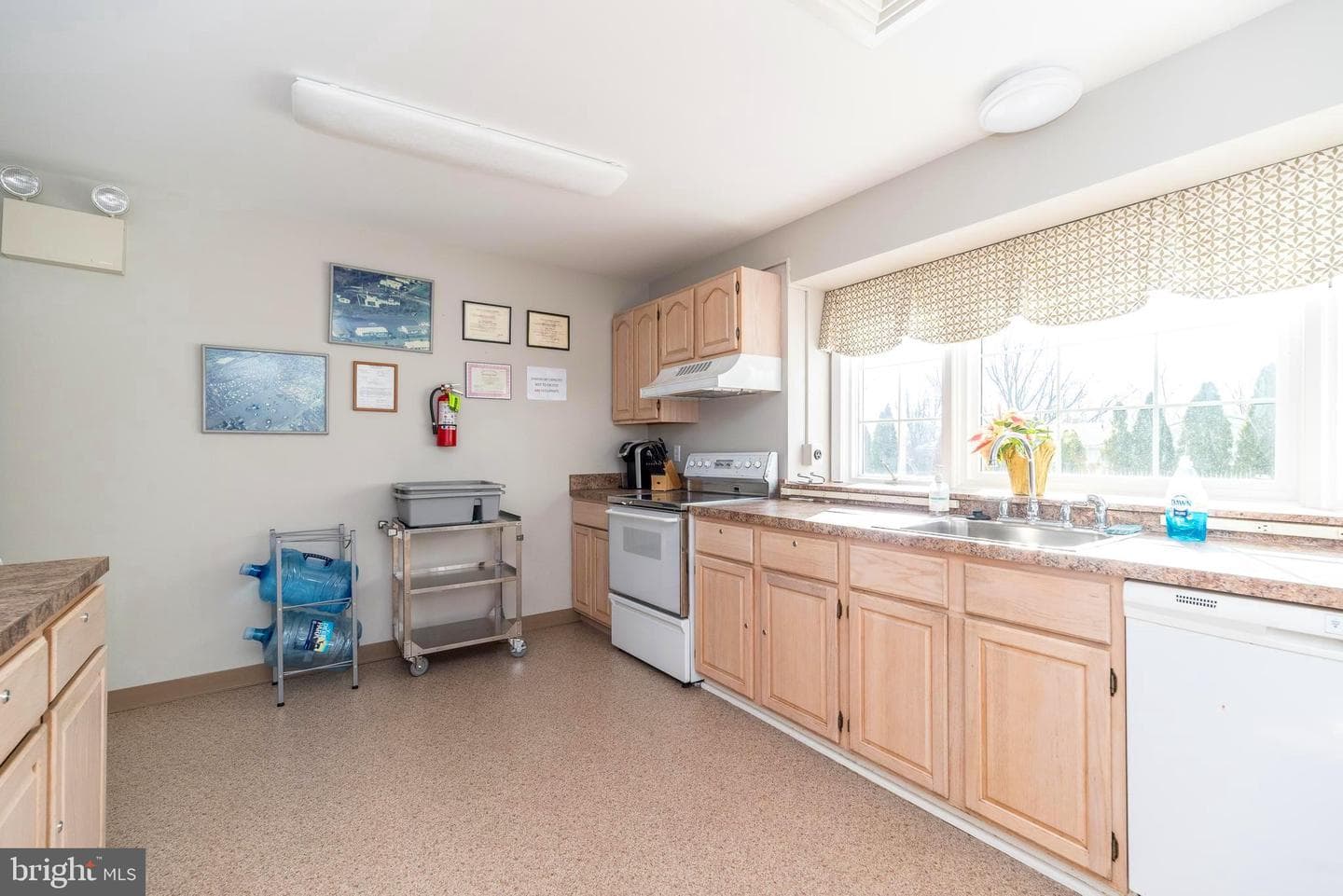 13 Asheton Lane photo 49