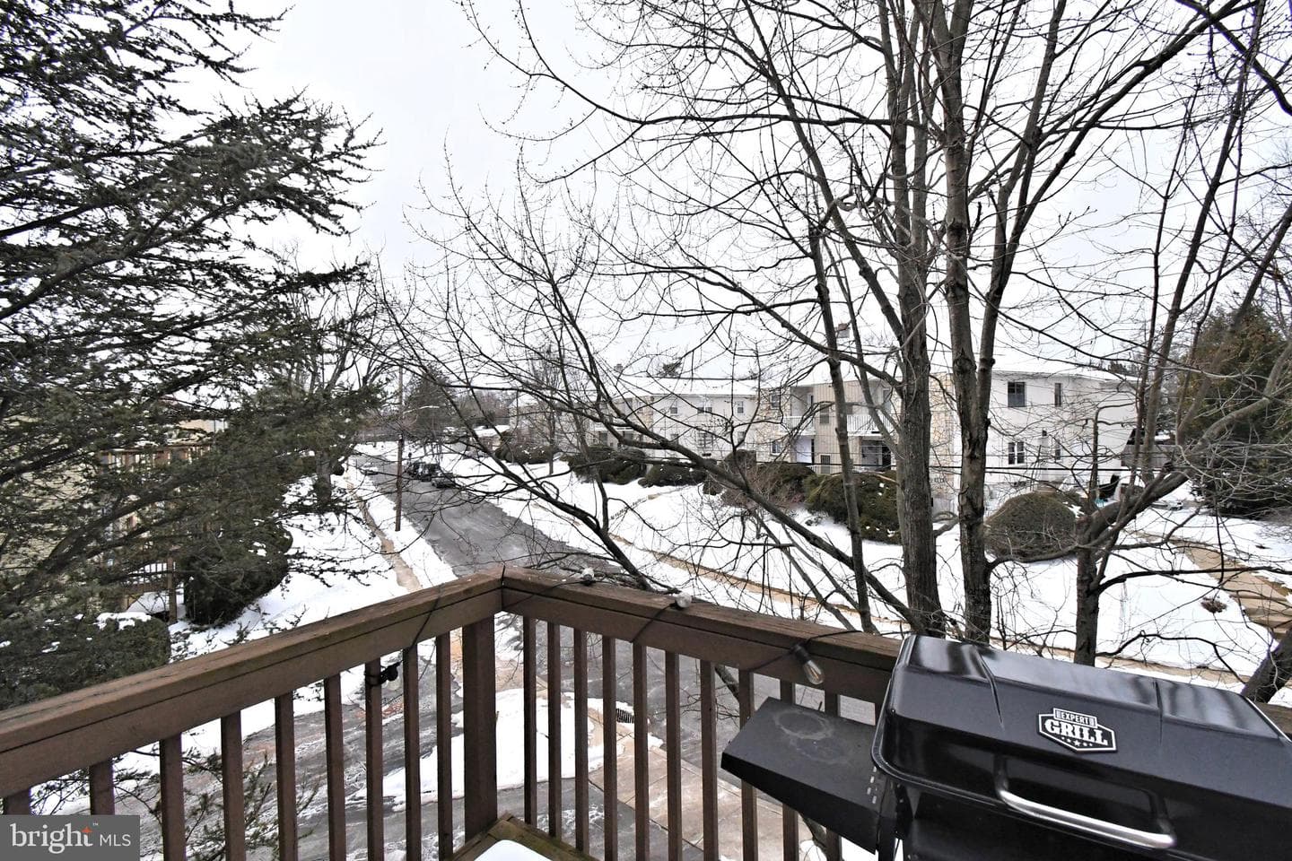 709 Willow Street #2-A photo 21