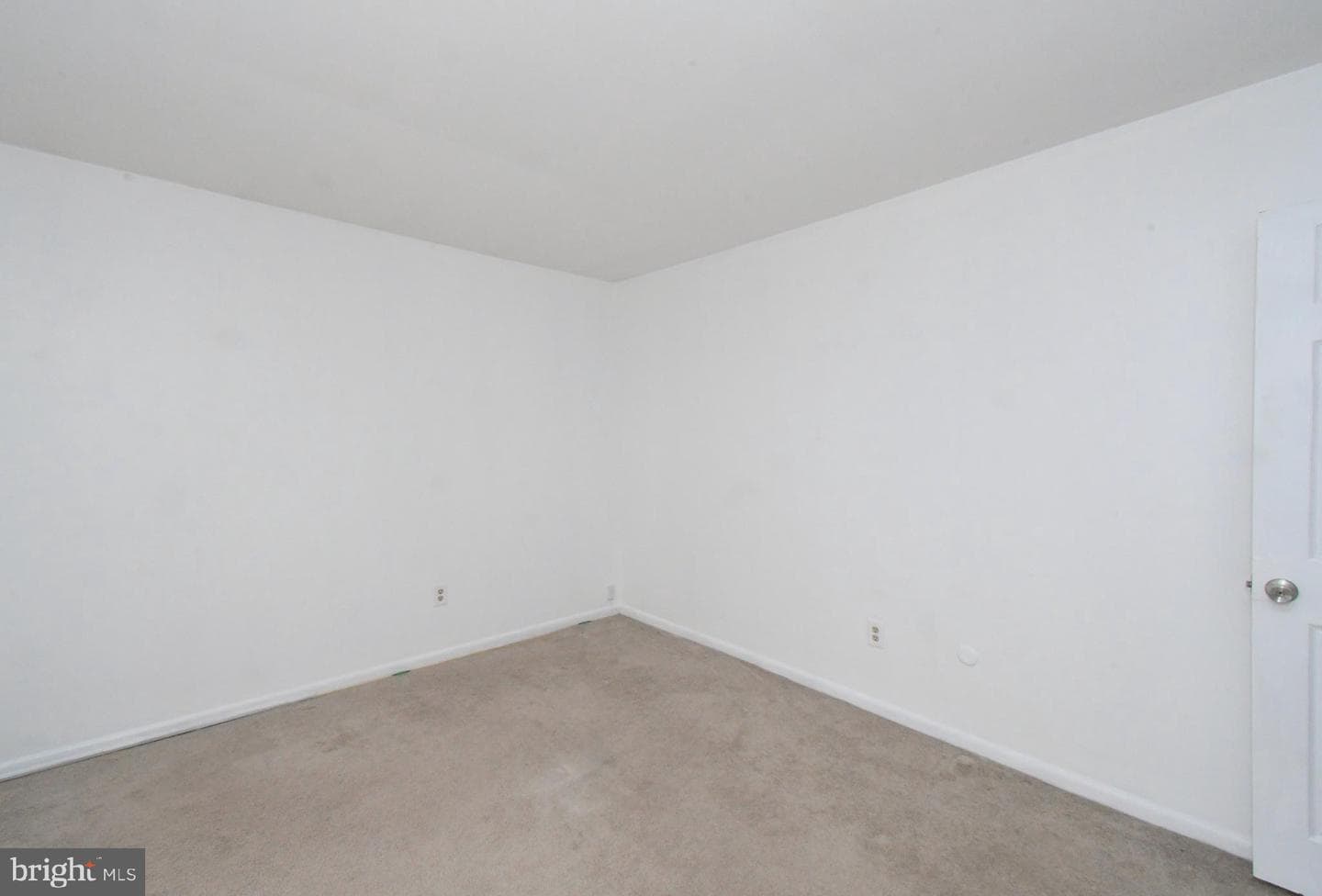 709 Willow Street #2-A photo 29