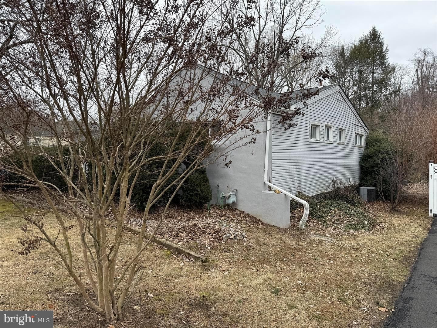 8002 Ivy Lane photo 3