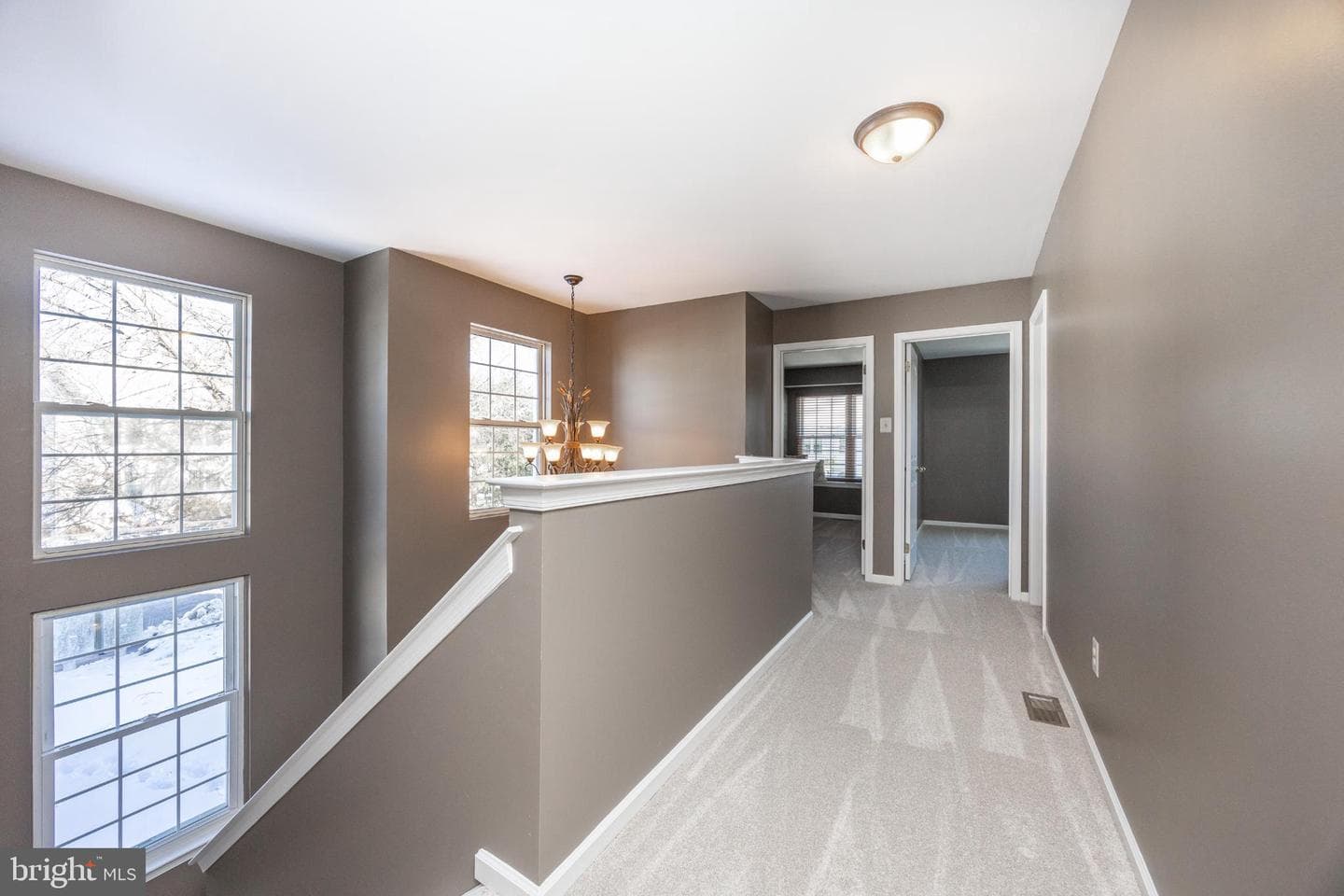 113 Yellow Wood Court photo 22
