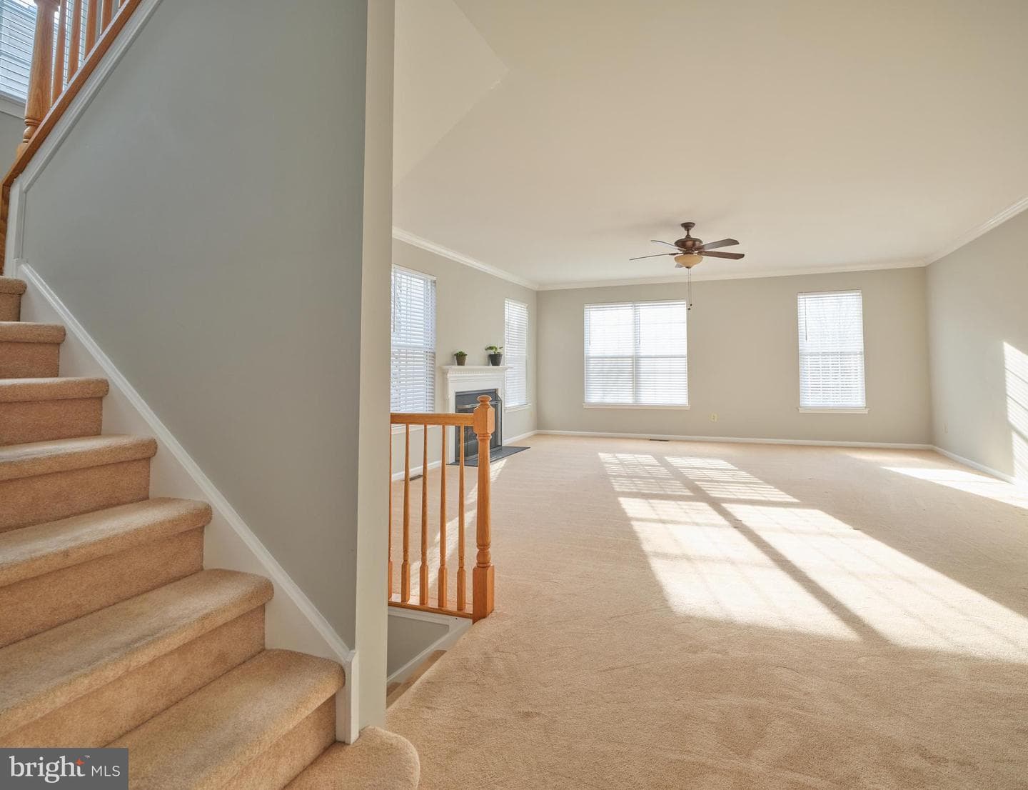 24 Cameron Court #condo 24 photo 18