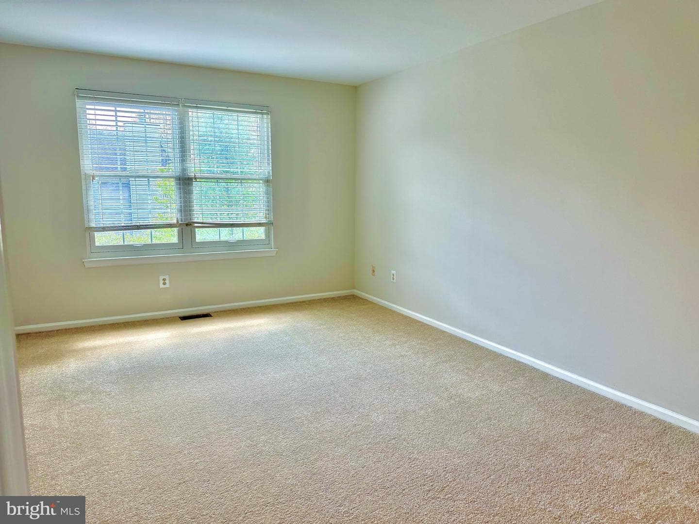 65 Woodbine Court photo 19