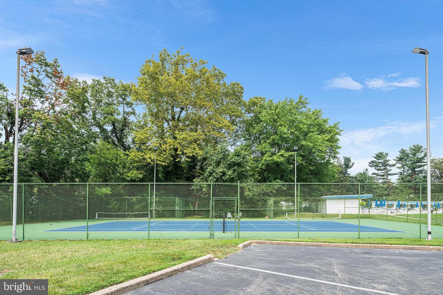 50 Belmont Avenue #1114 photo 29
