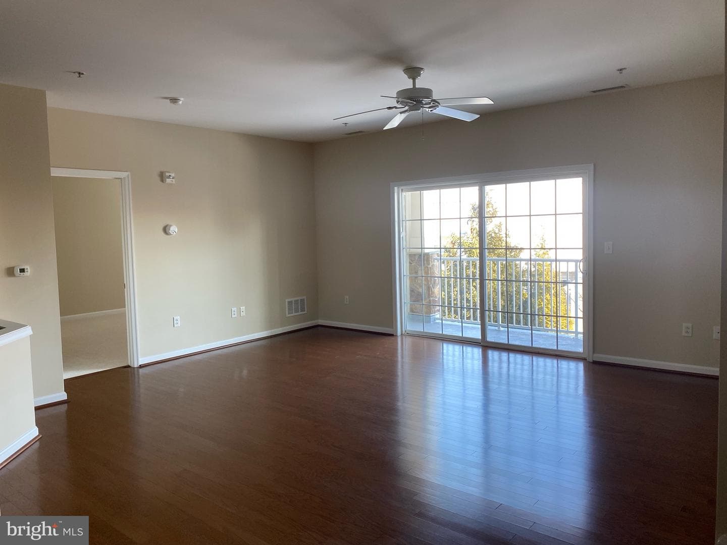 5205 Lilac Court photo 13