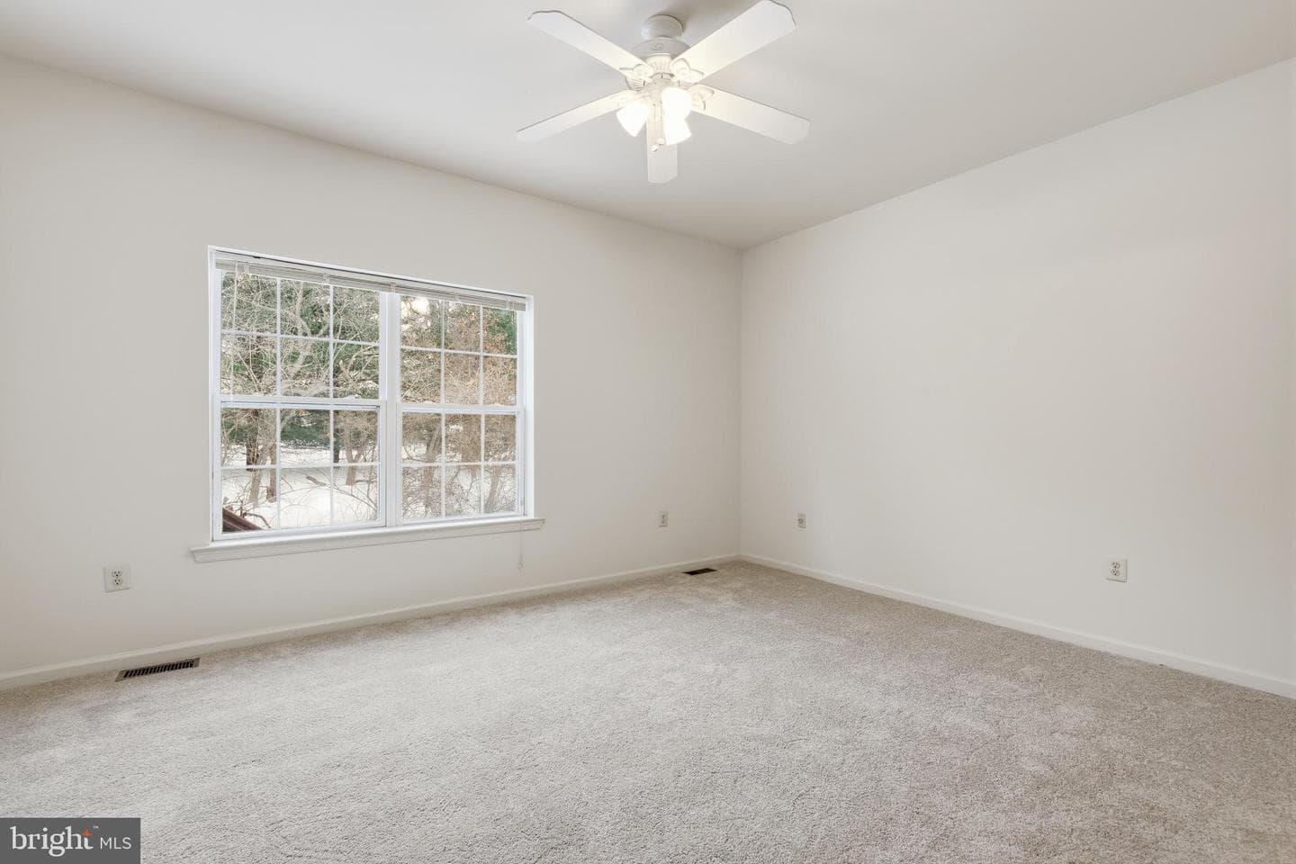 41 Stuart Dr photo 16