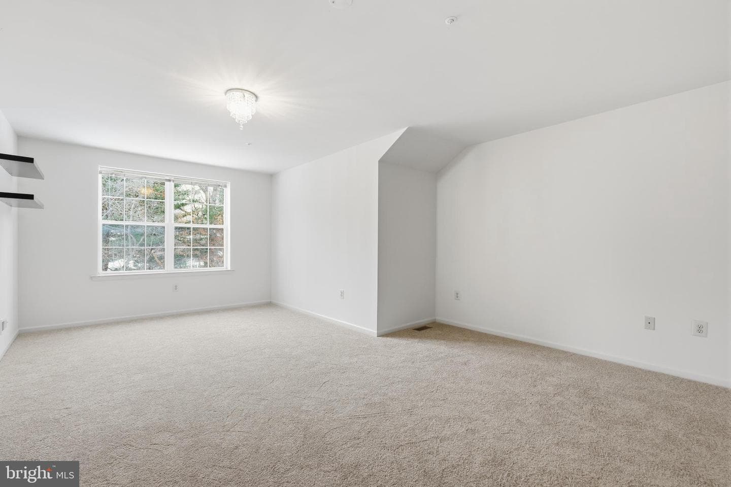 41 Stuart Dr photo 23
