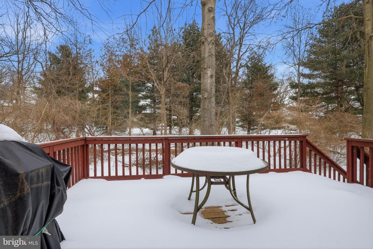 41 Stuart Dr photo 29