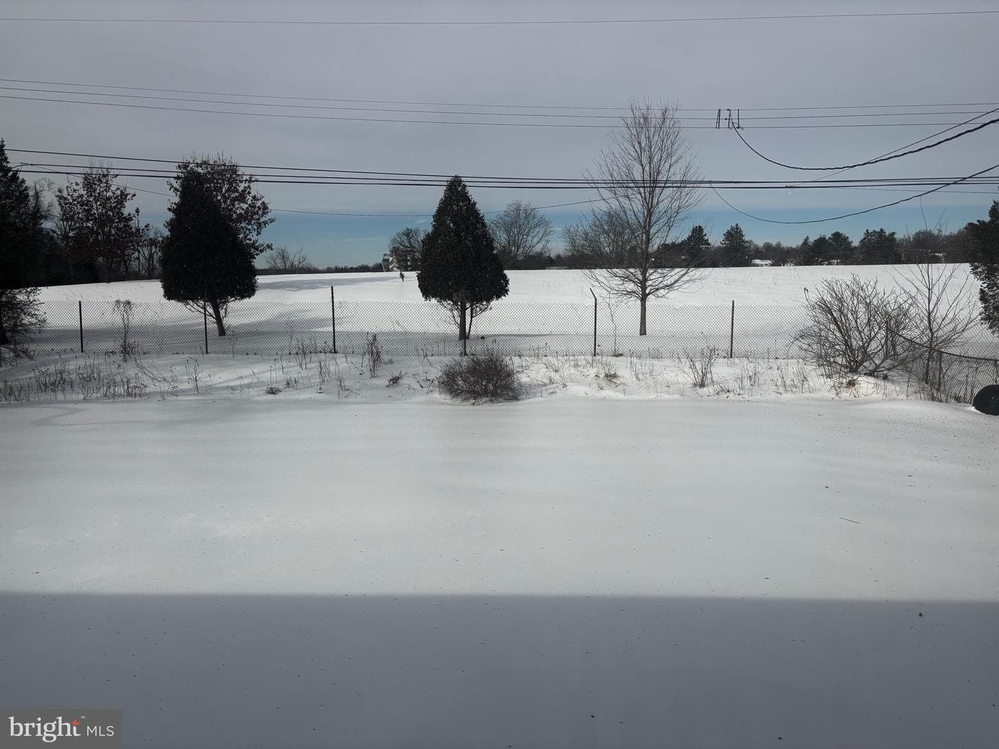 534 Barbara Drive photo 18