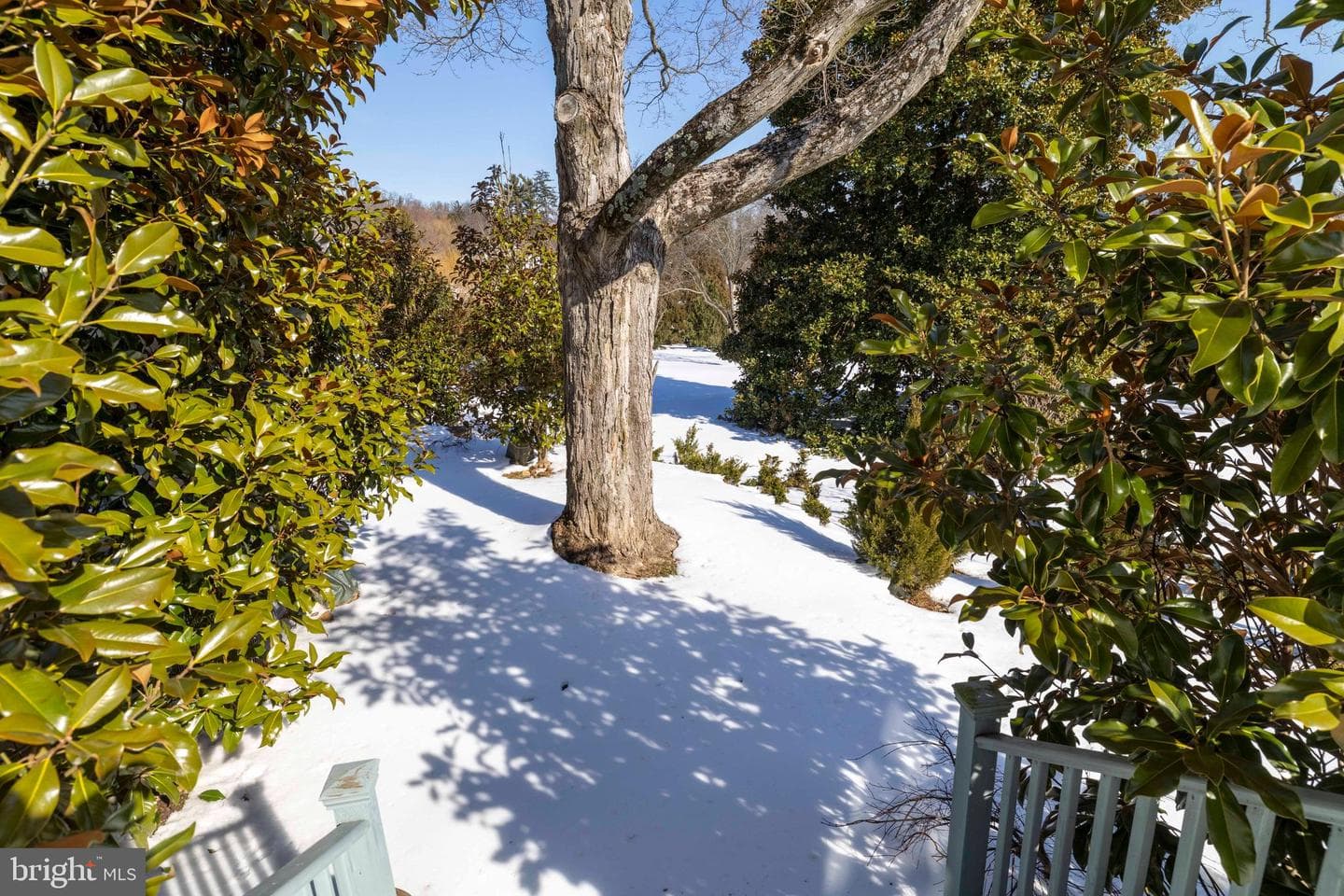 1260 County Line Road photo 56