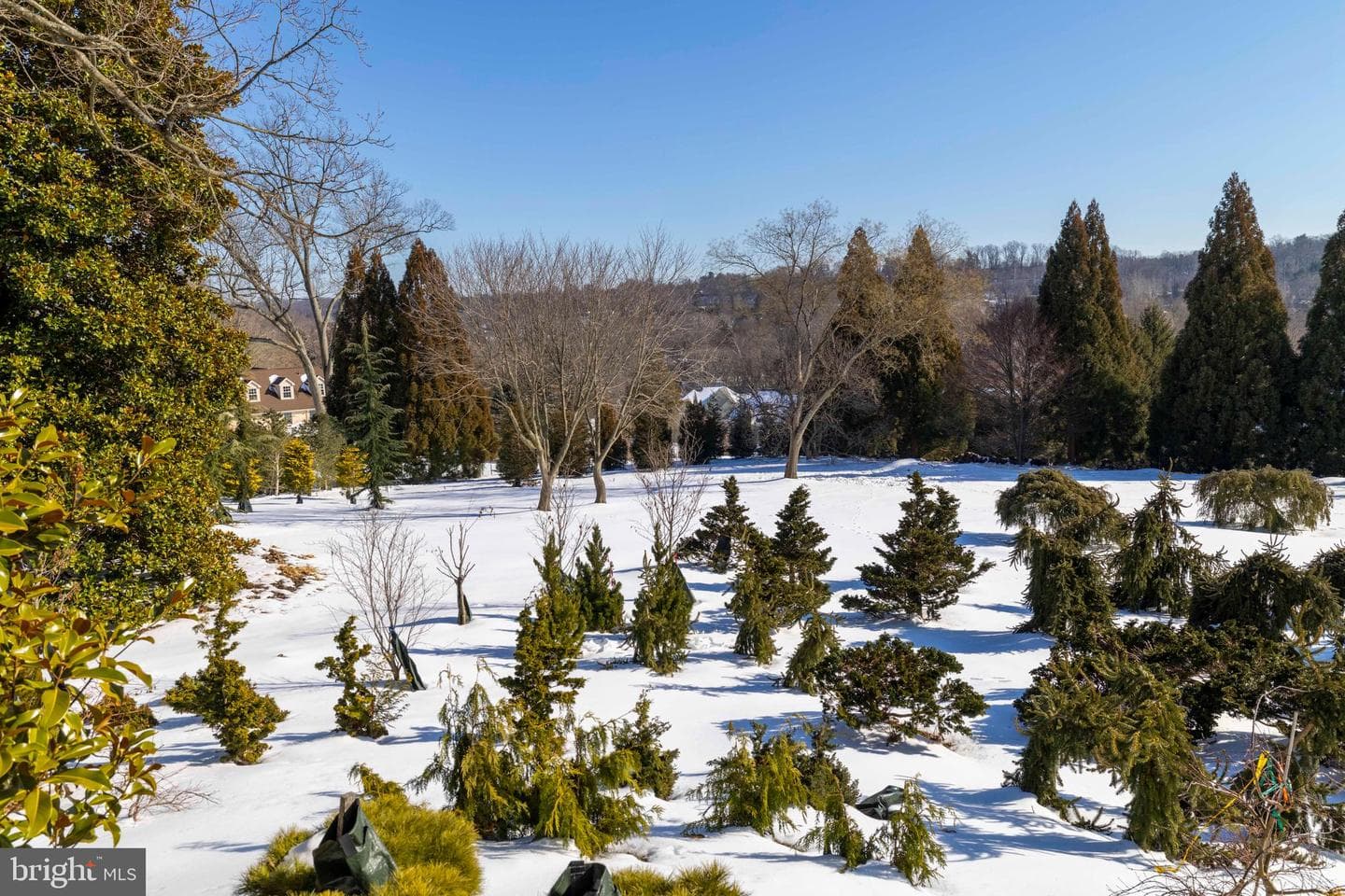 1260 County Line Road photo 57