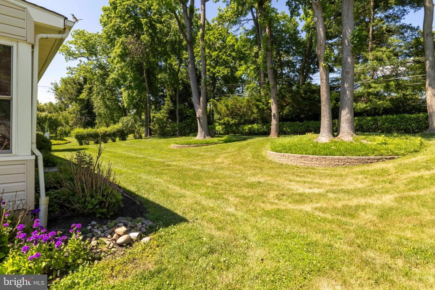 1061 Kipling Road photo 24