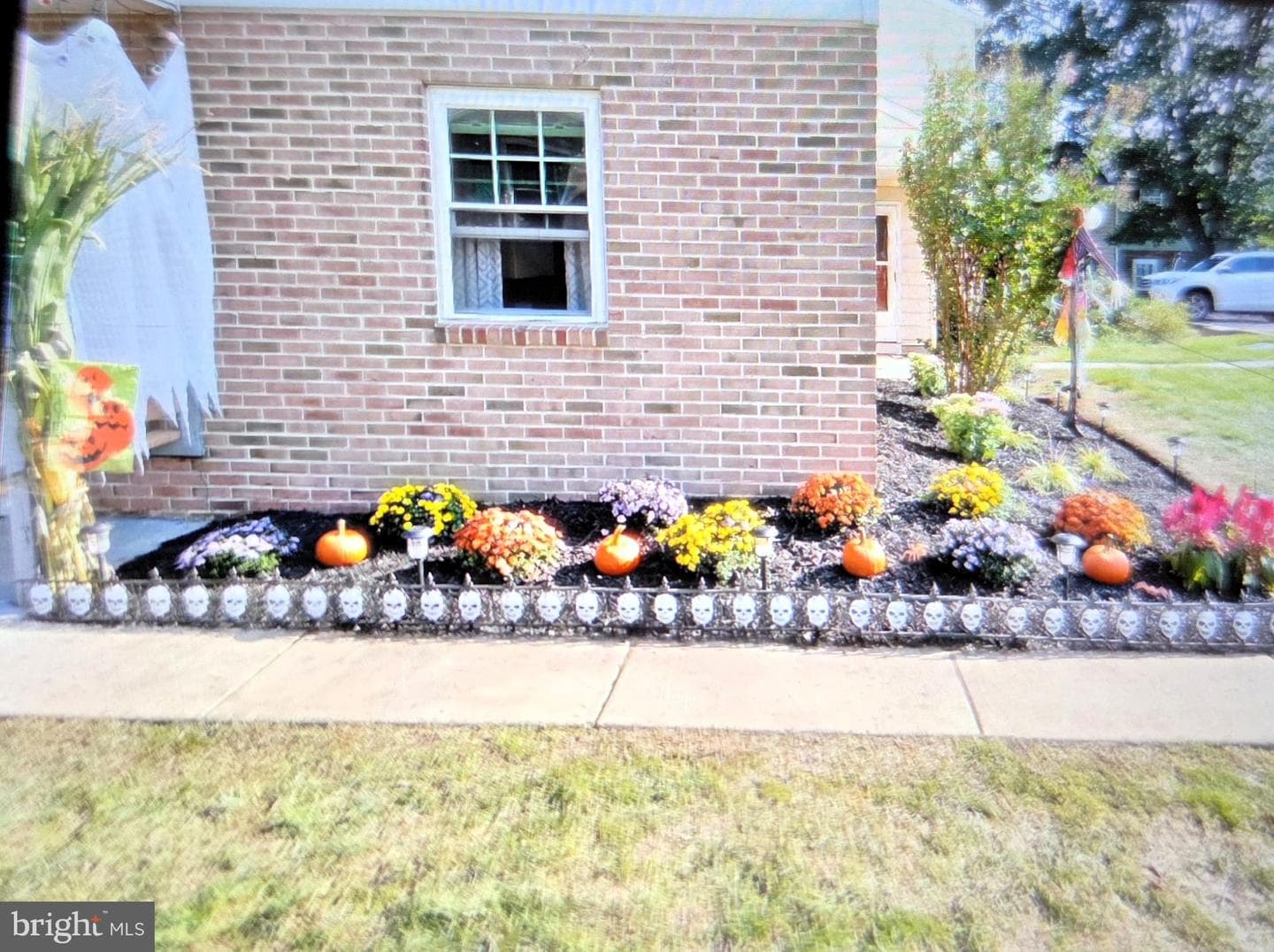 236 Lexington Road photo 3