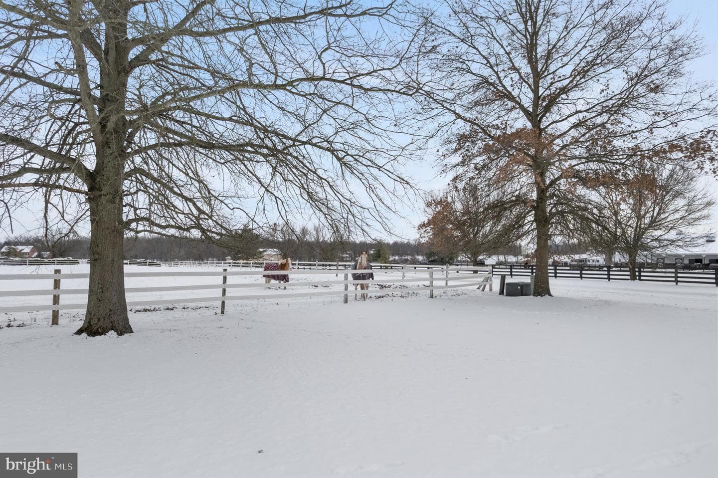 118 Middle Creek Road photo 6