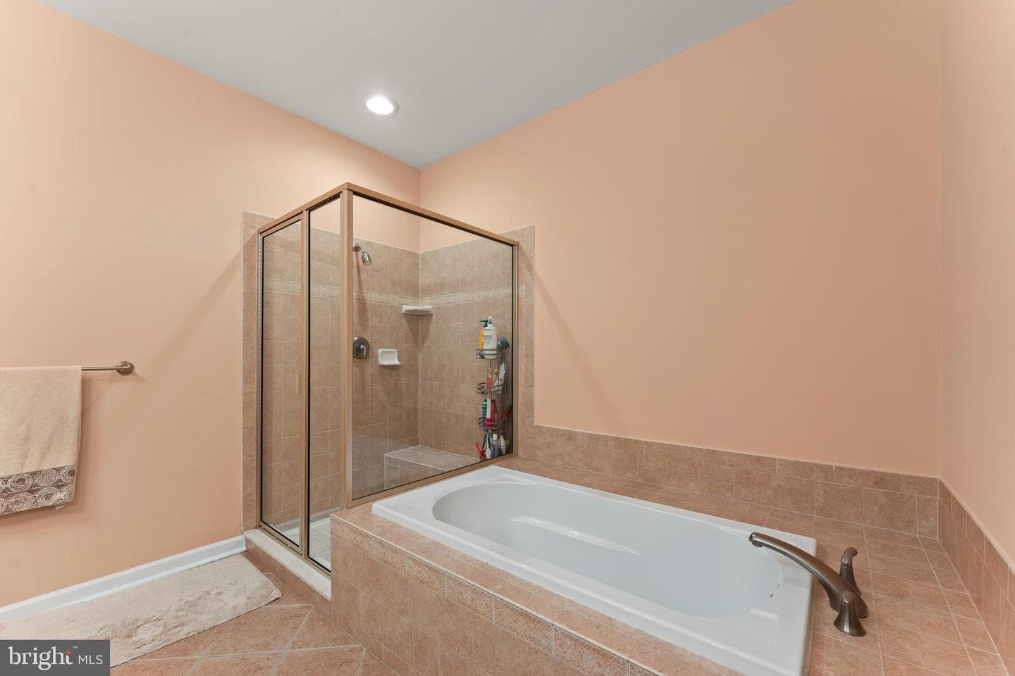 516 Carson Terrace photo 19