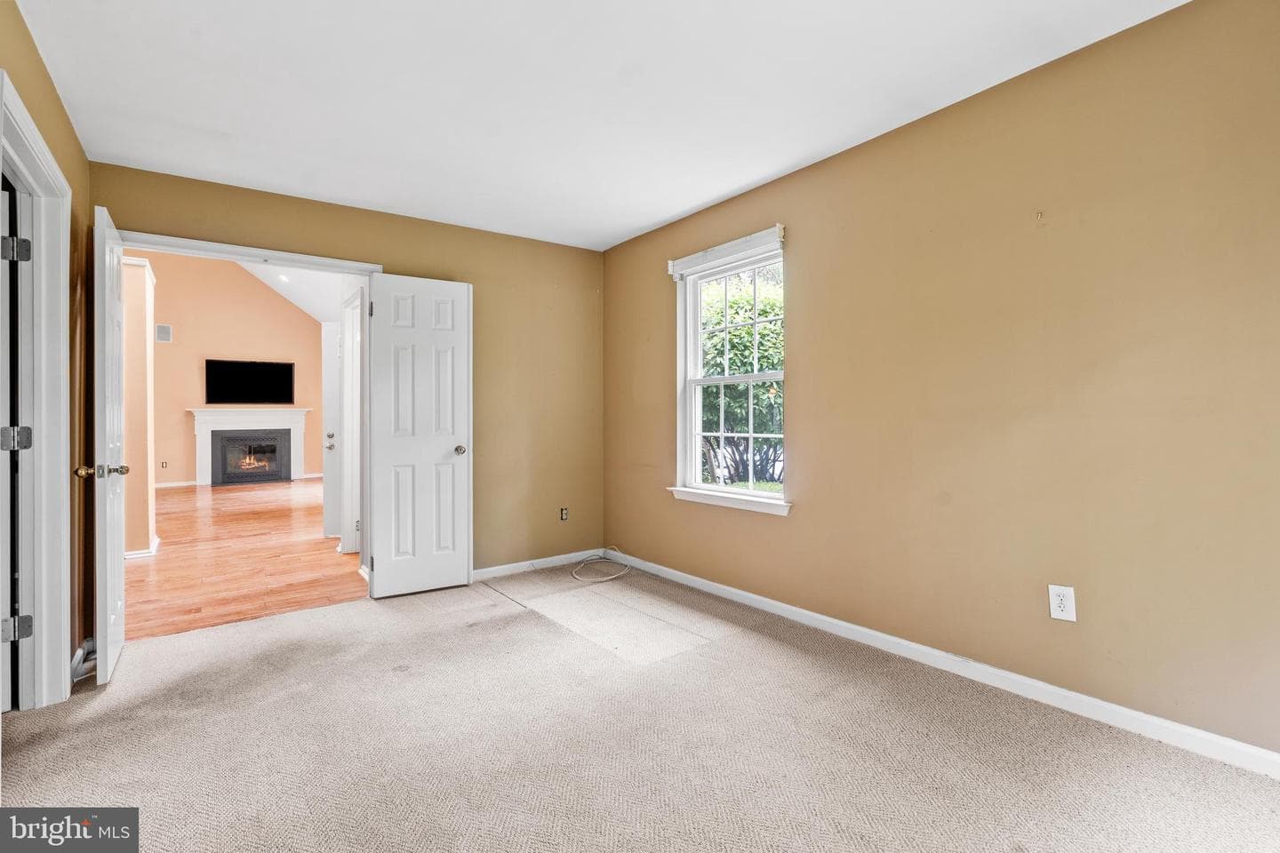 125 Evergreen Court photo 10