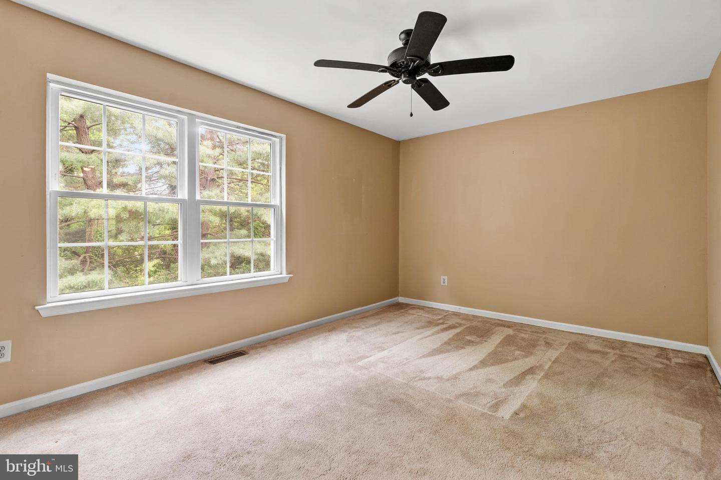 125 Evergreen Court photo 26