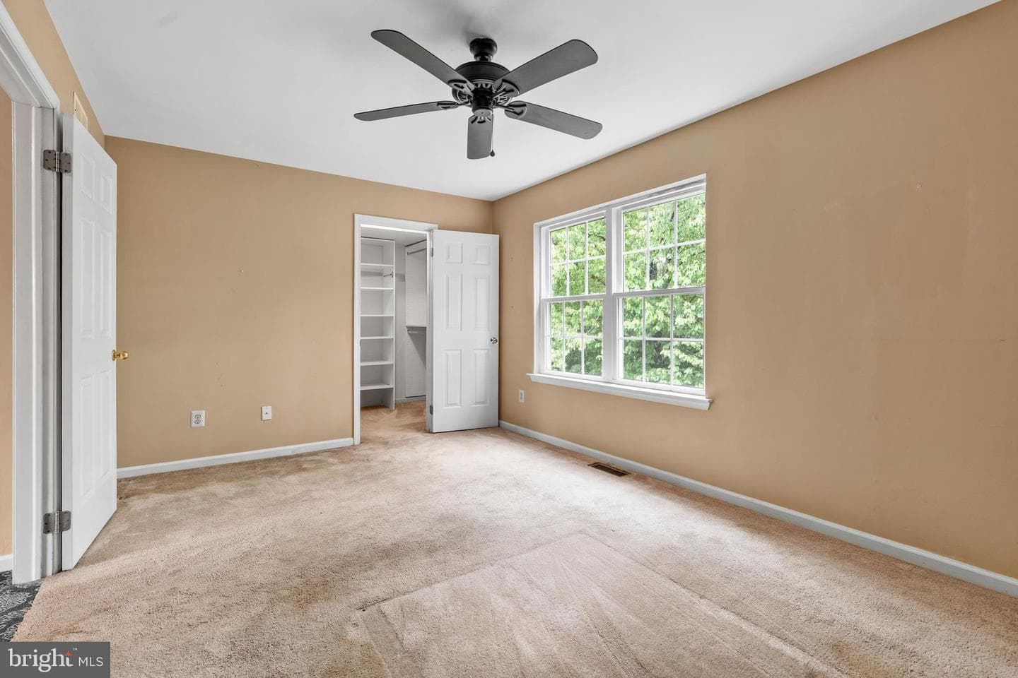 125 Evergreen Court photo 8