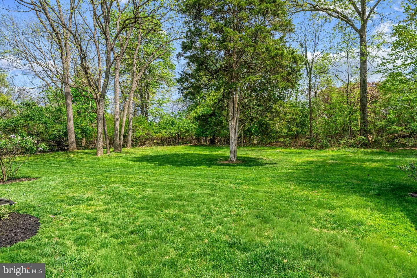 420 Cathcart Road photo 39