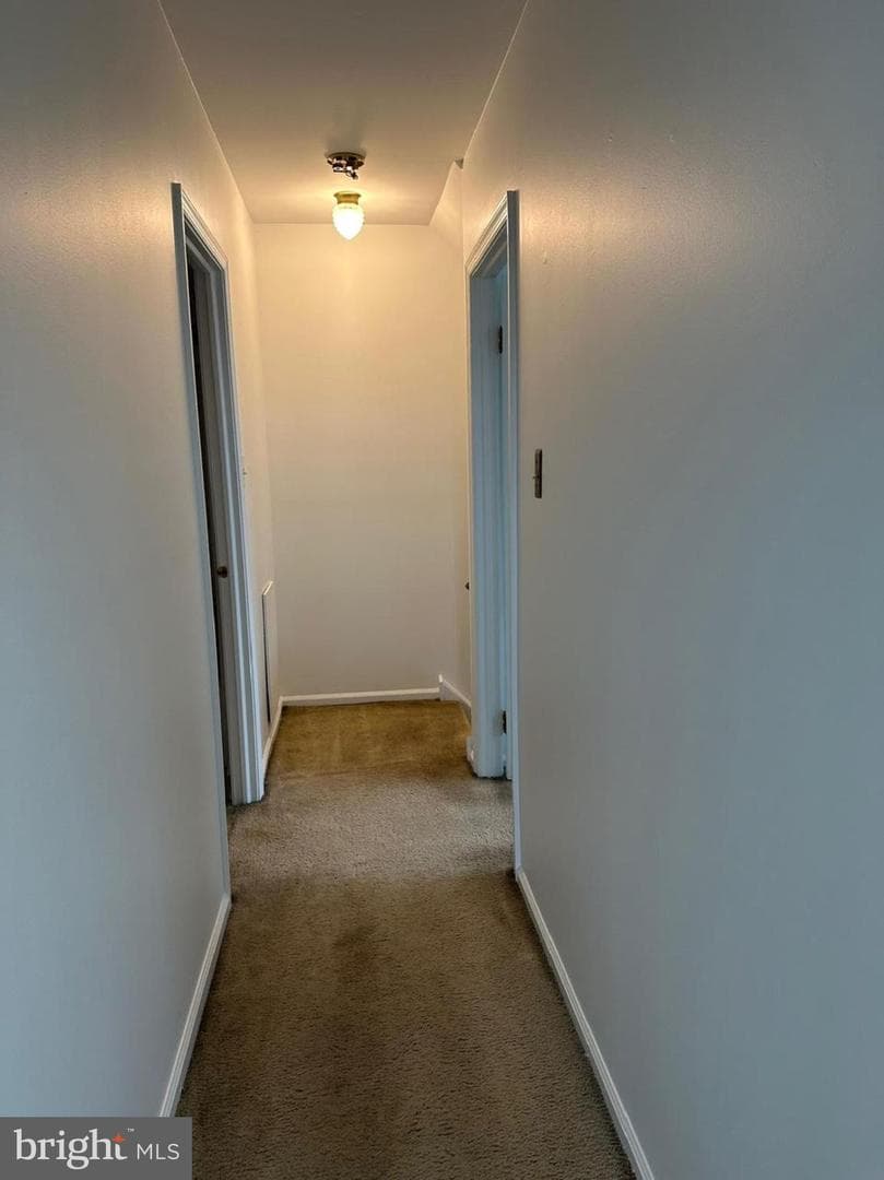 129 Whitney Place photo 18