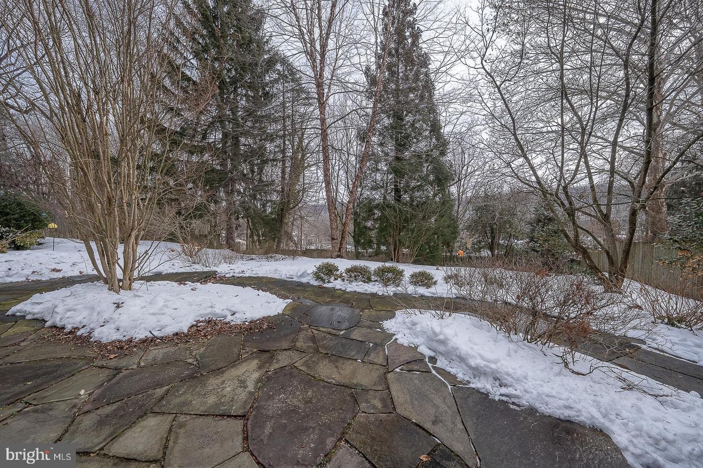173 Gypsy Lane photo 12