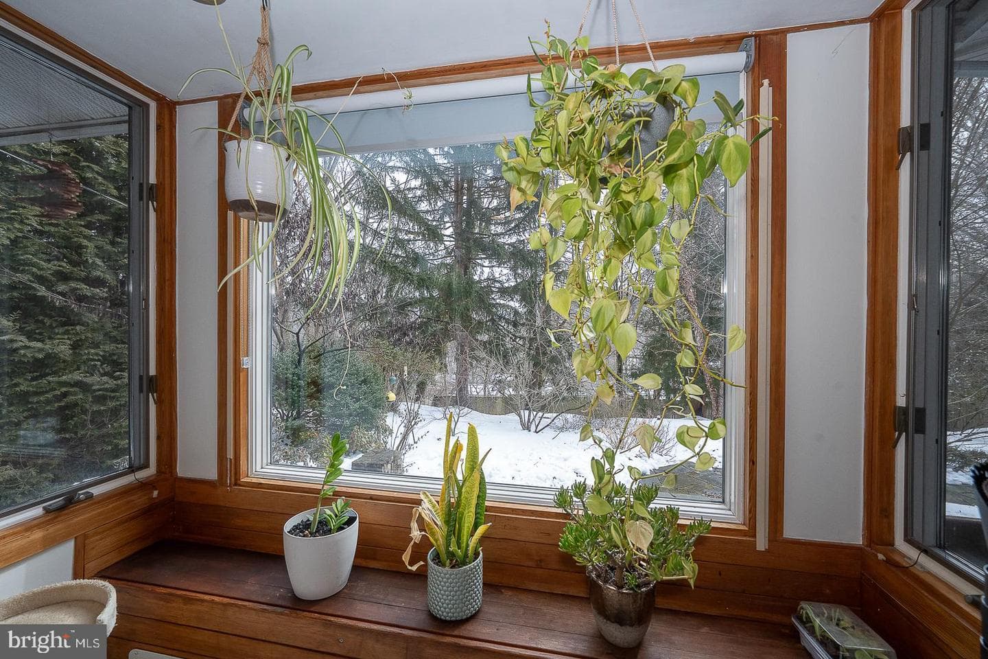 173 Gypsy Lane photo 42