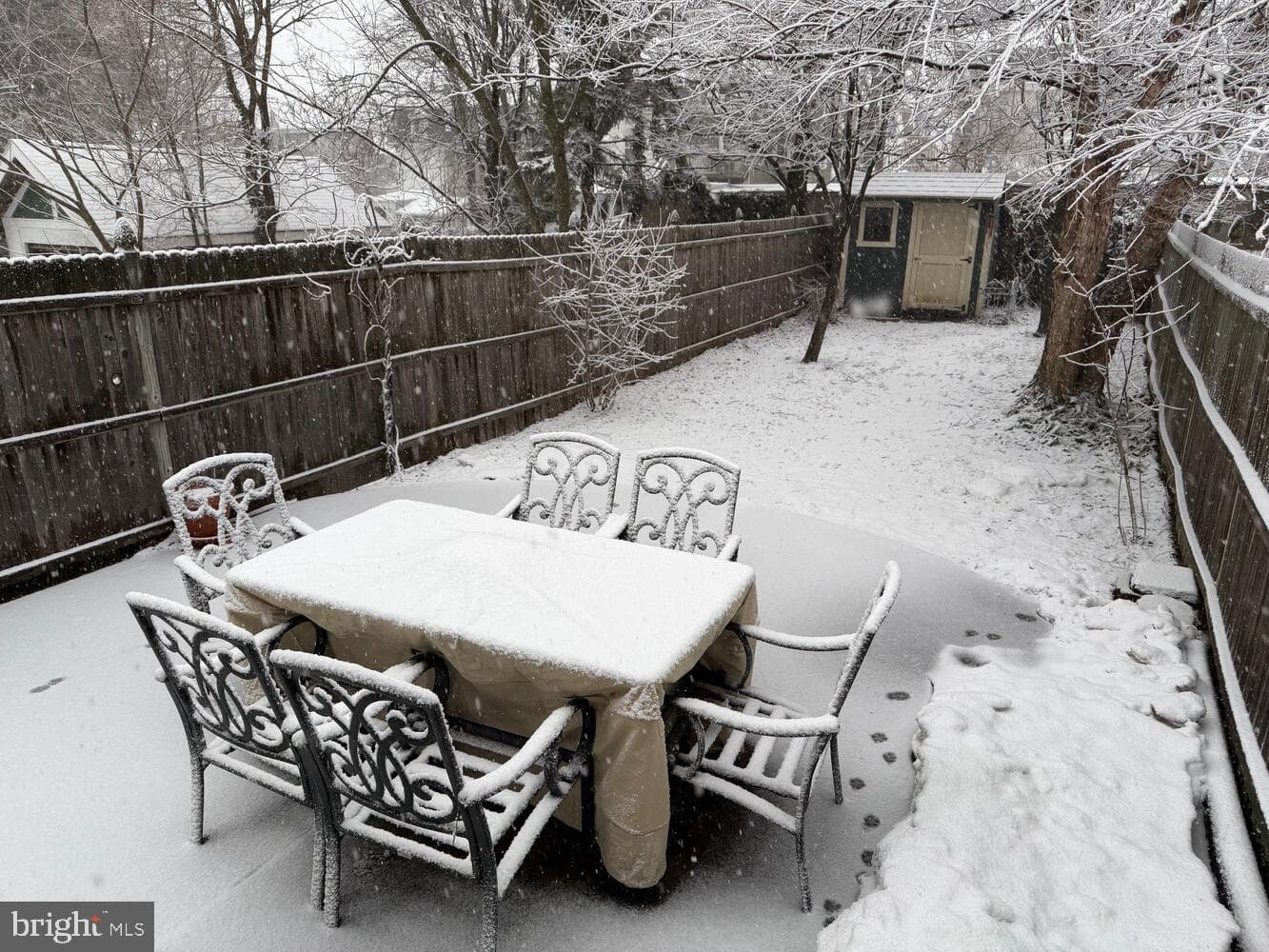 416 Cedar Street photo 24