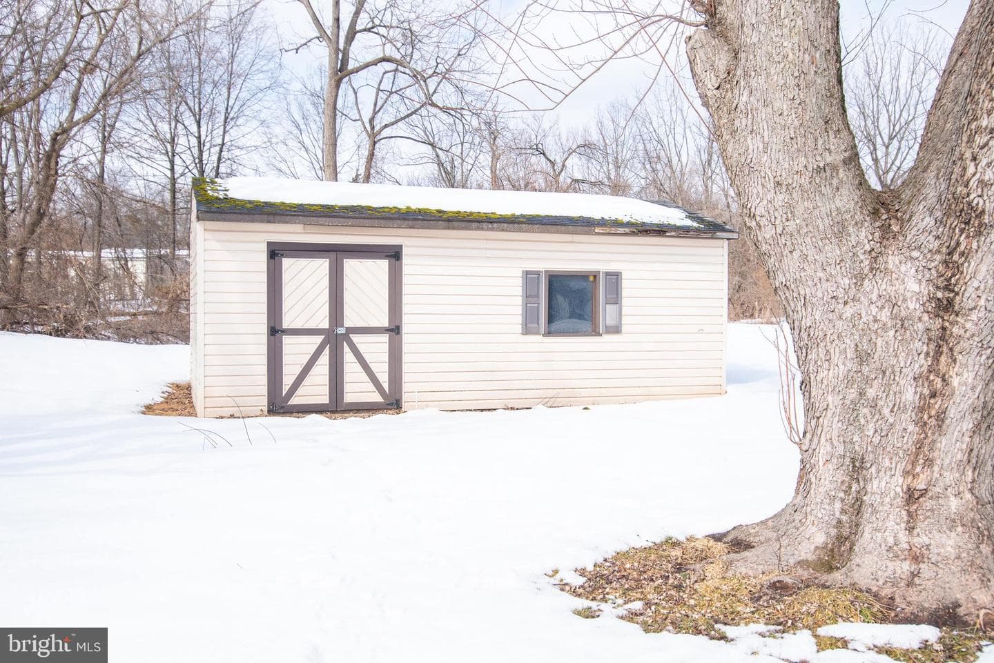 25 E Township Line Road photo 27