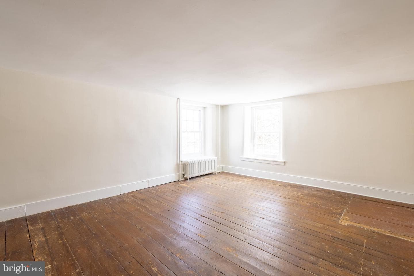 1301 Stump Road photo 18
