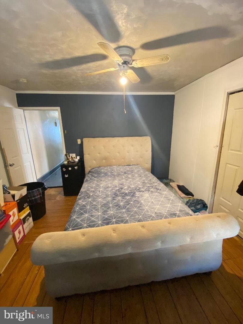 556 Beech Street photo 13
