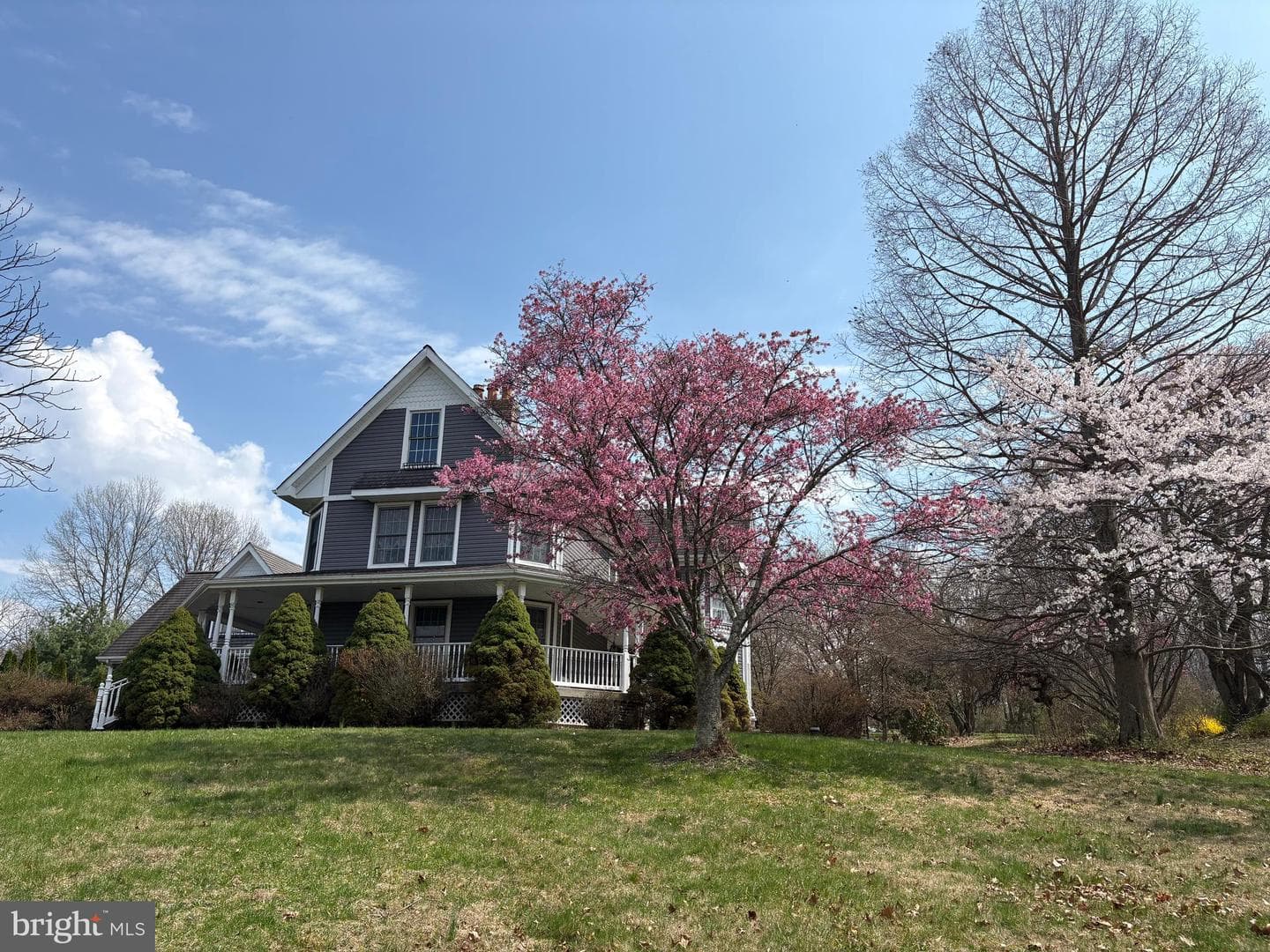 288 Clump Road photo 4