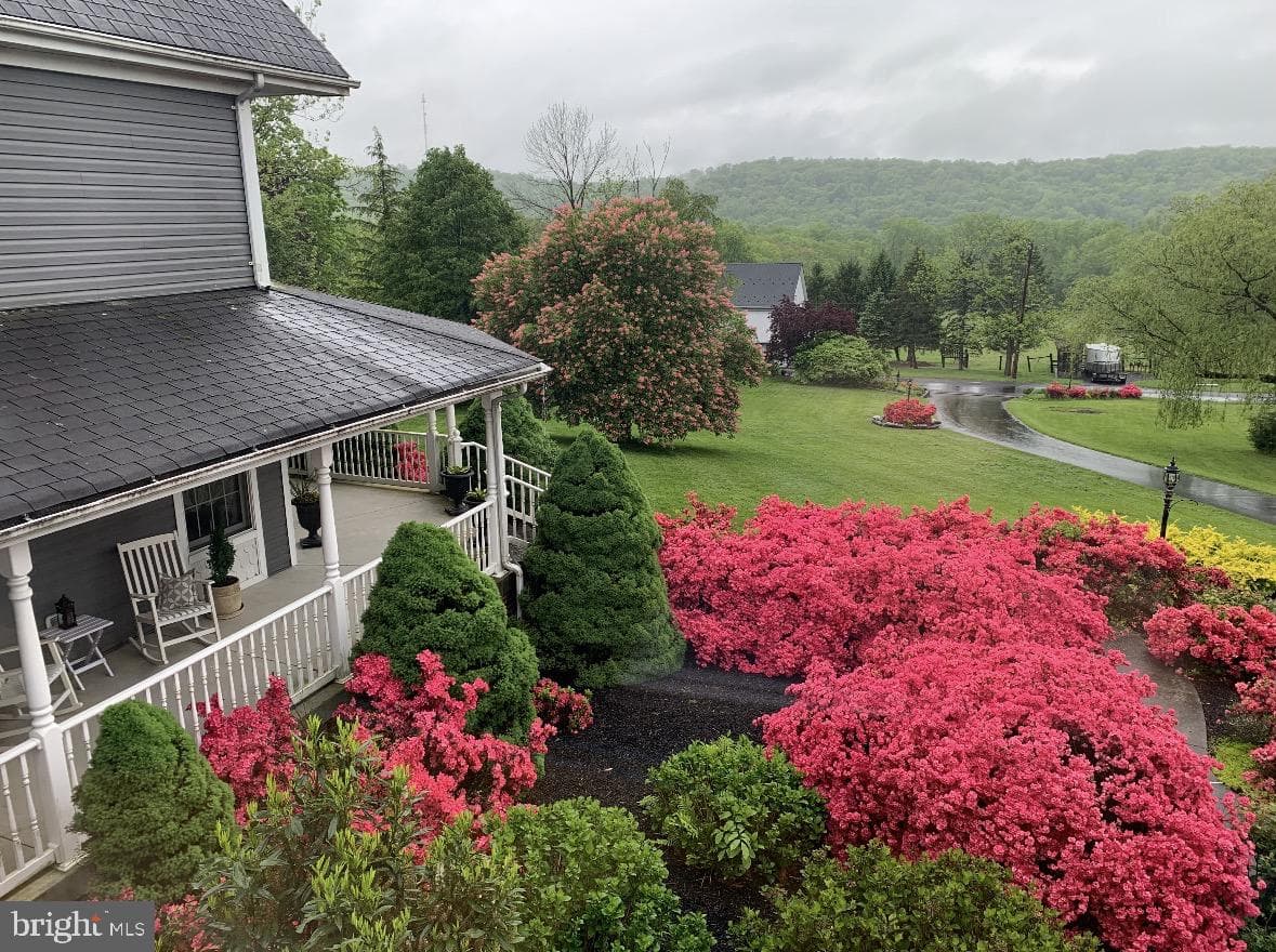 288 Clump Road photo 6