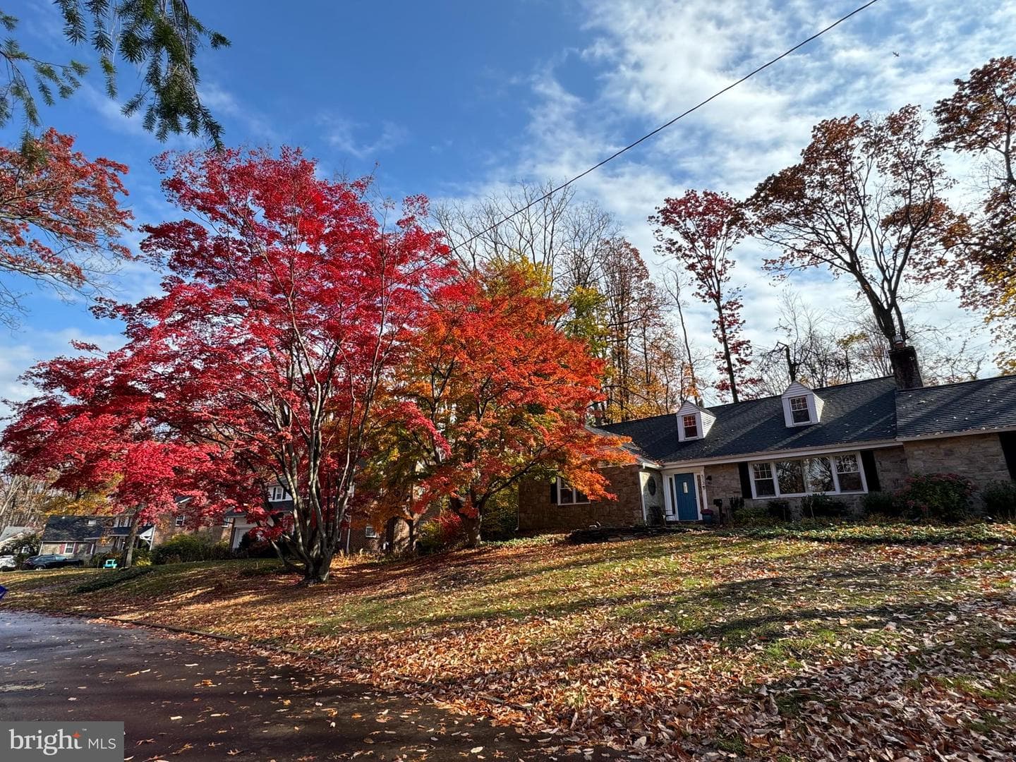 513 Waln Road photo 32
