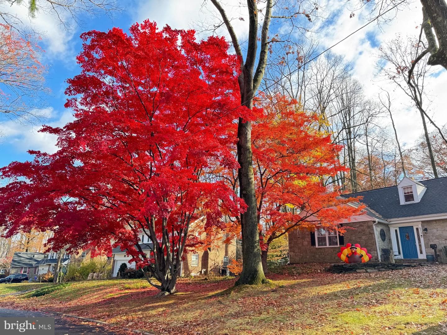 513 Waln Road photo 33