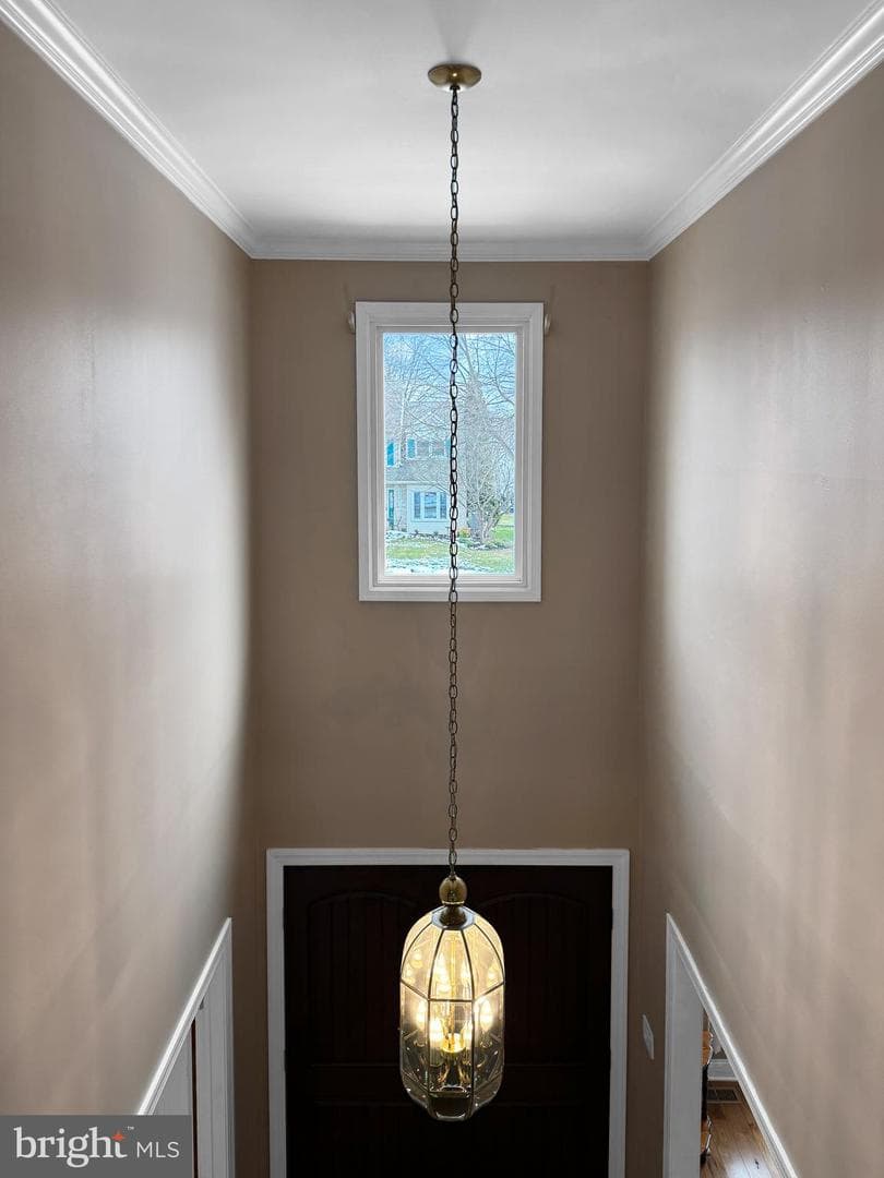 188 Freeland Drive photo 4