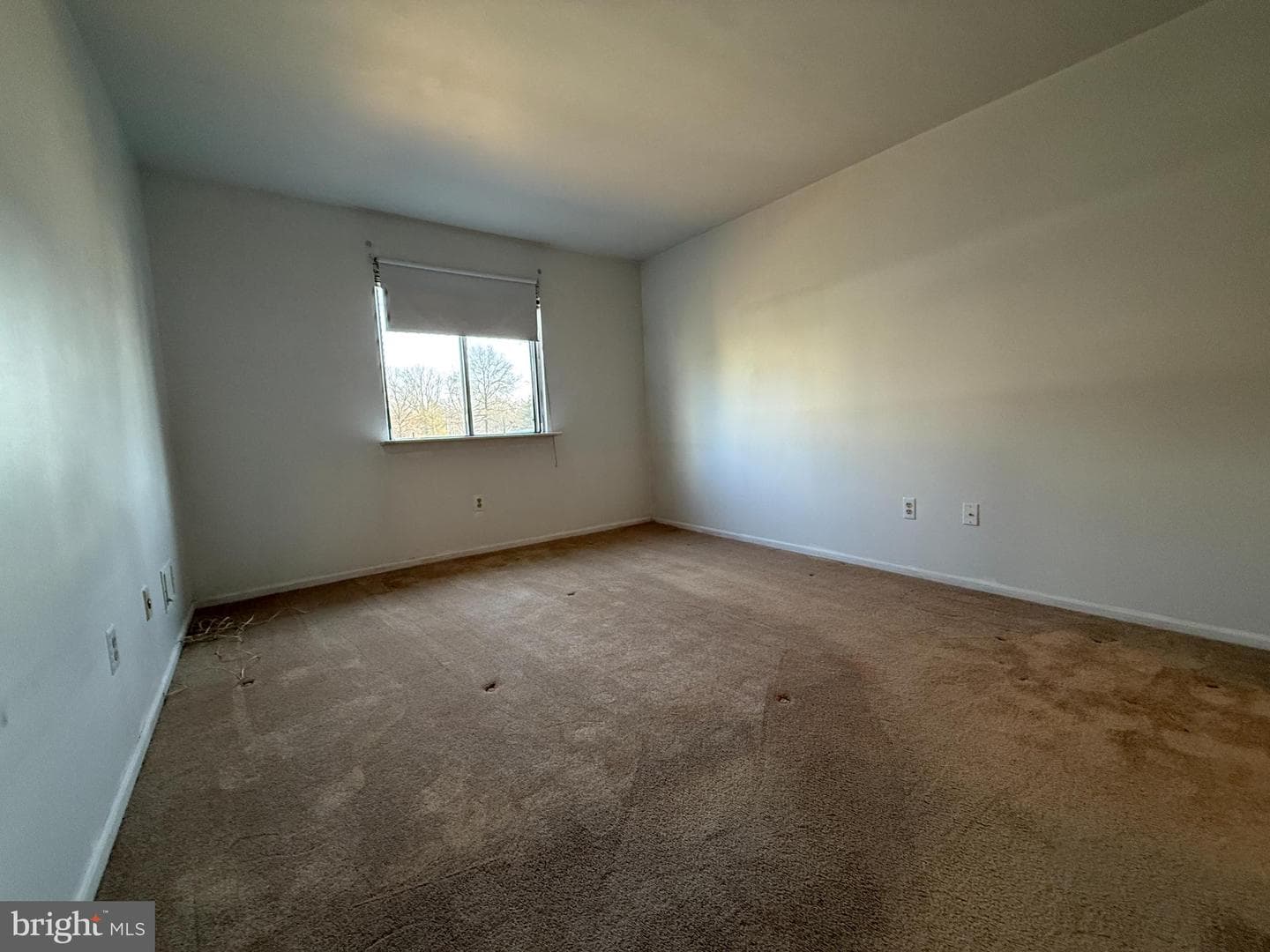 405 Hickory Court photo 19