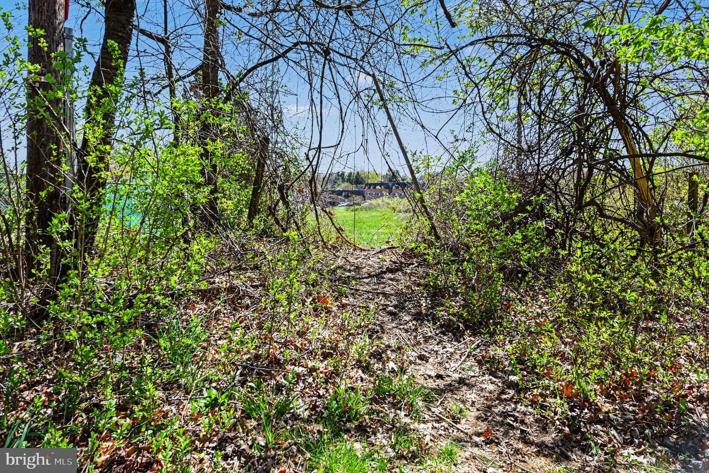 1701 Harmon Road photo 8