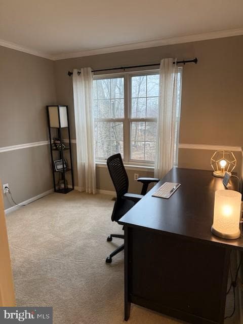 106 Yorkshire Way photo 34