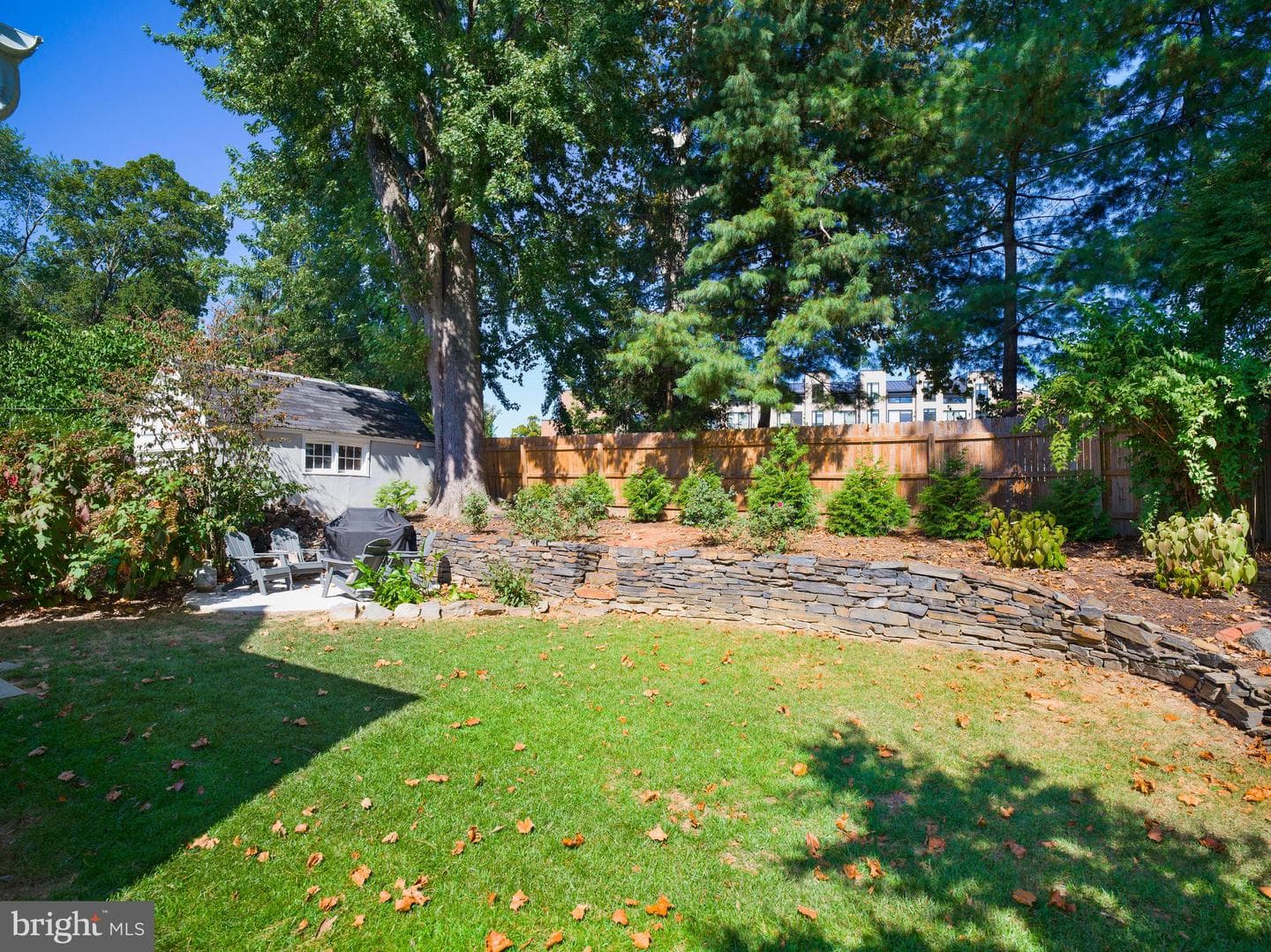 11 Shirley Road photo 42