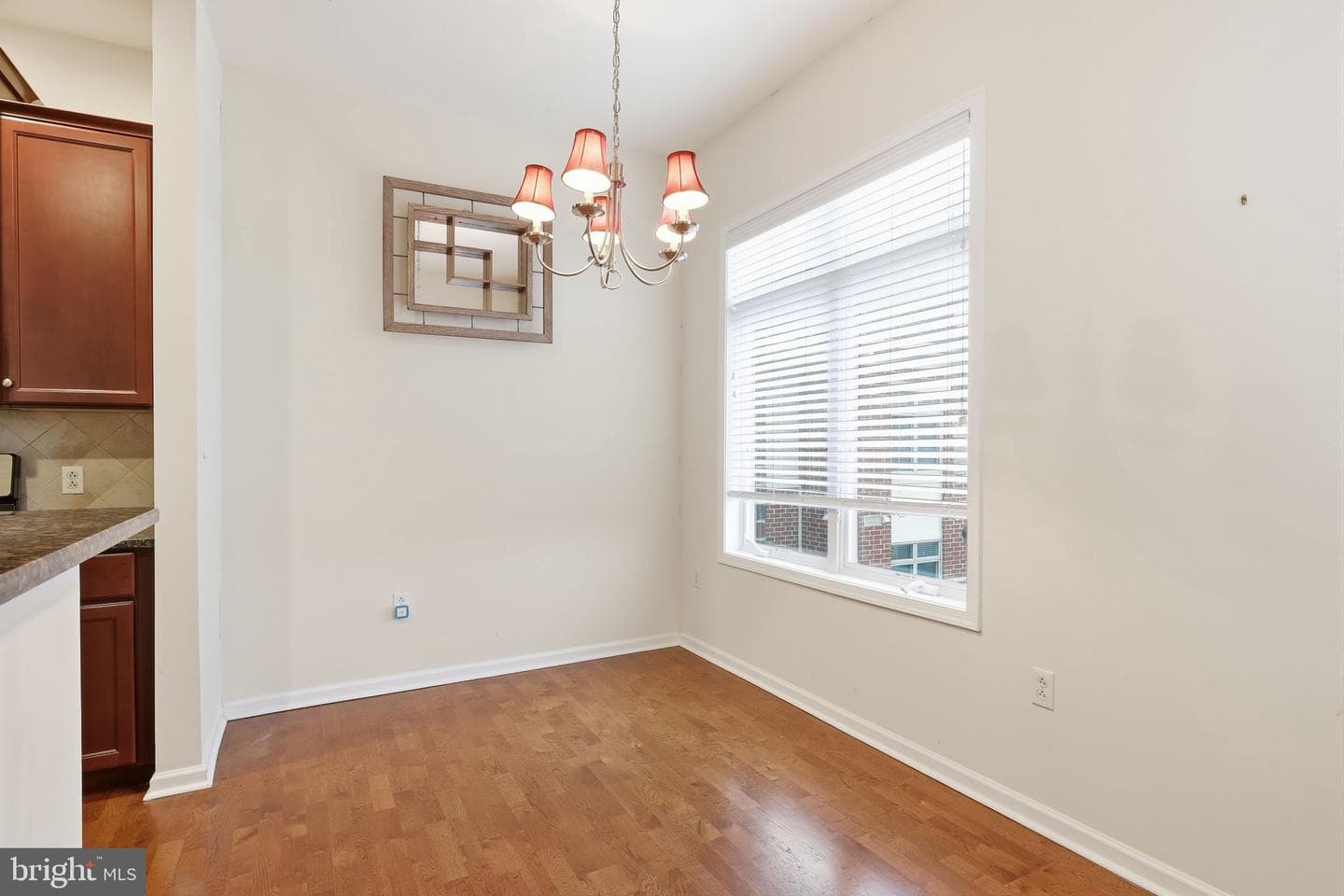 556 Carson Terrace photo 12