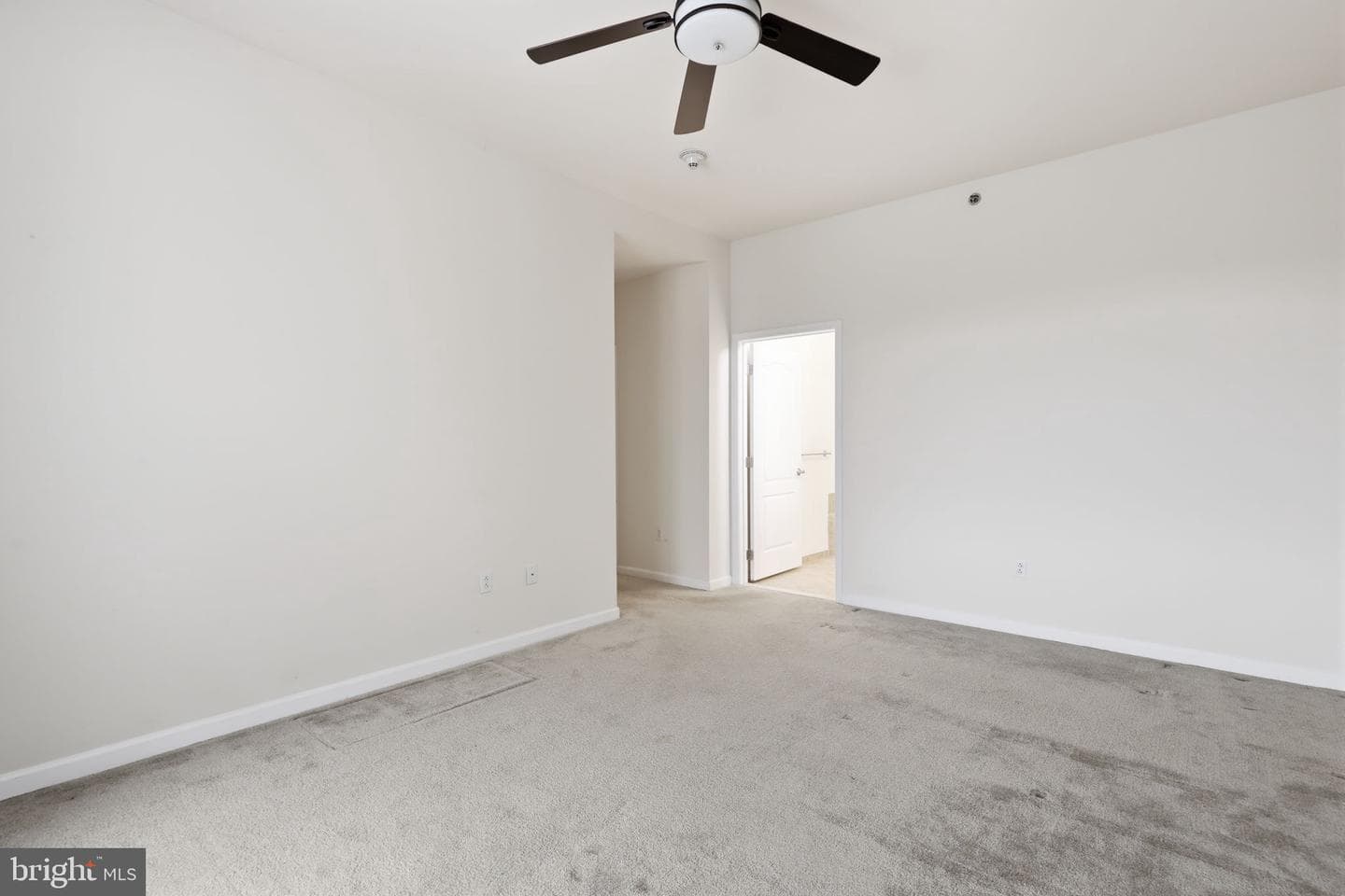 556 Carson Terrace photo 14