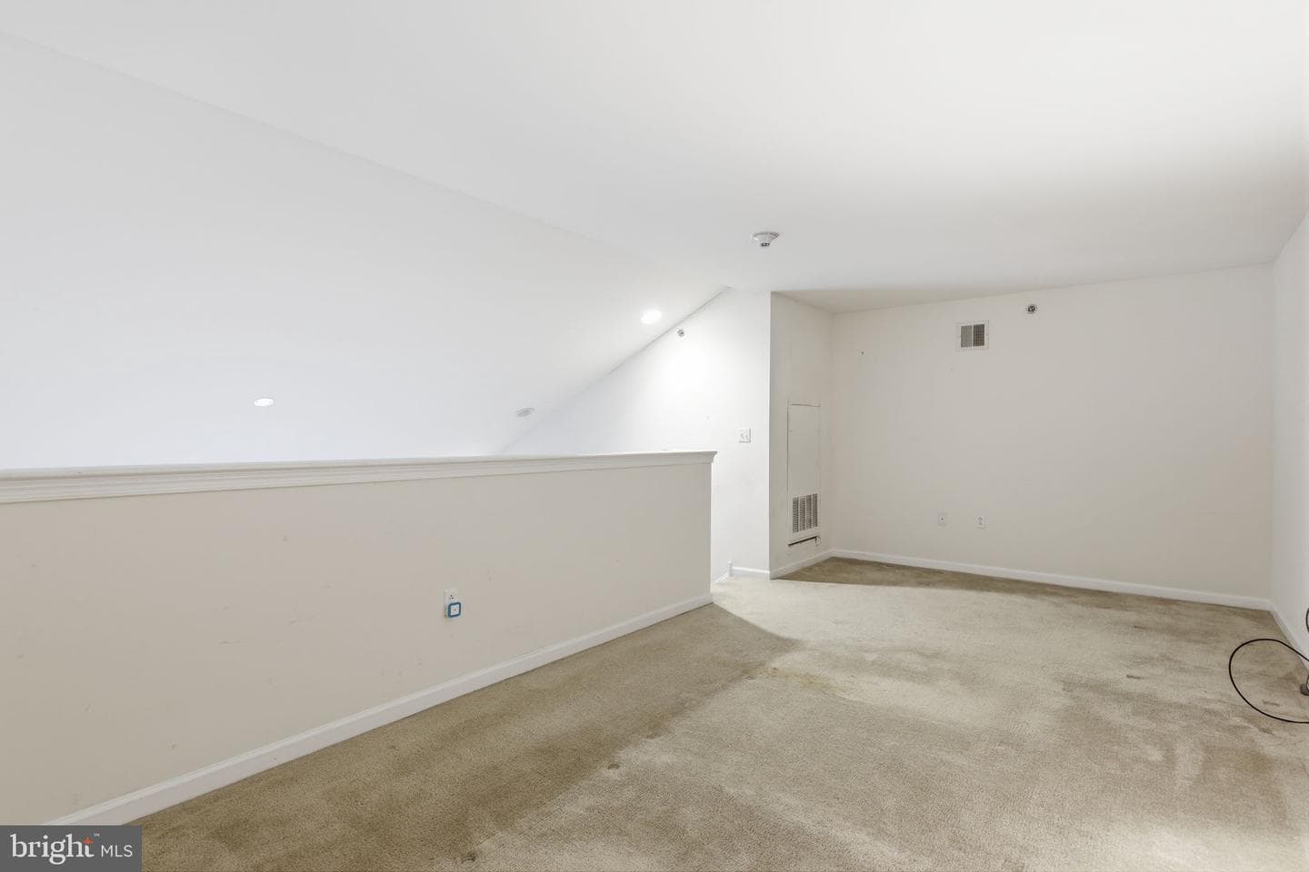 556 Carson Terrace photo 23